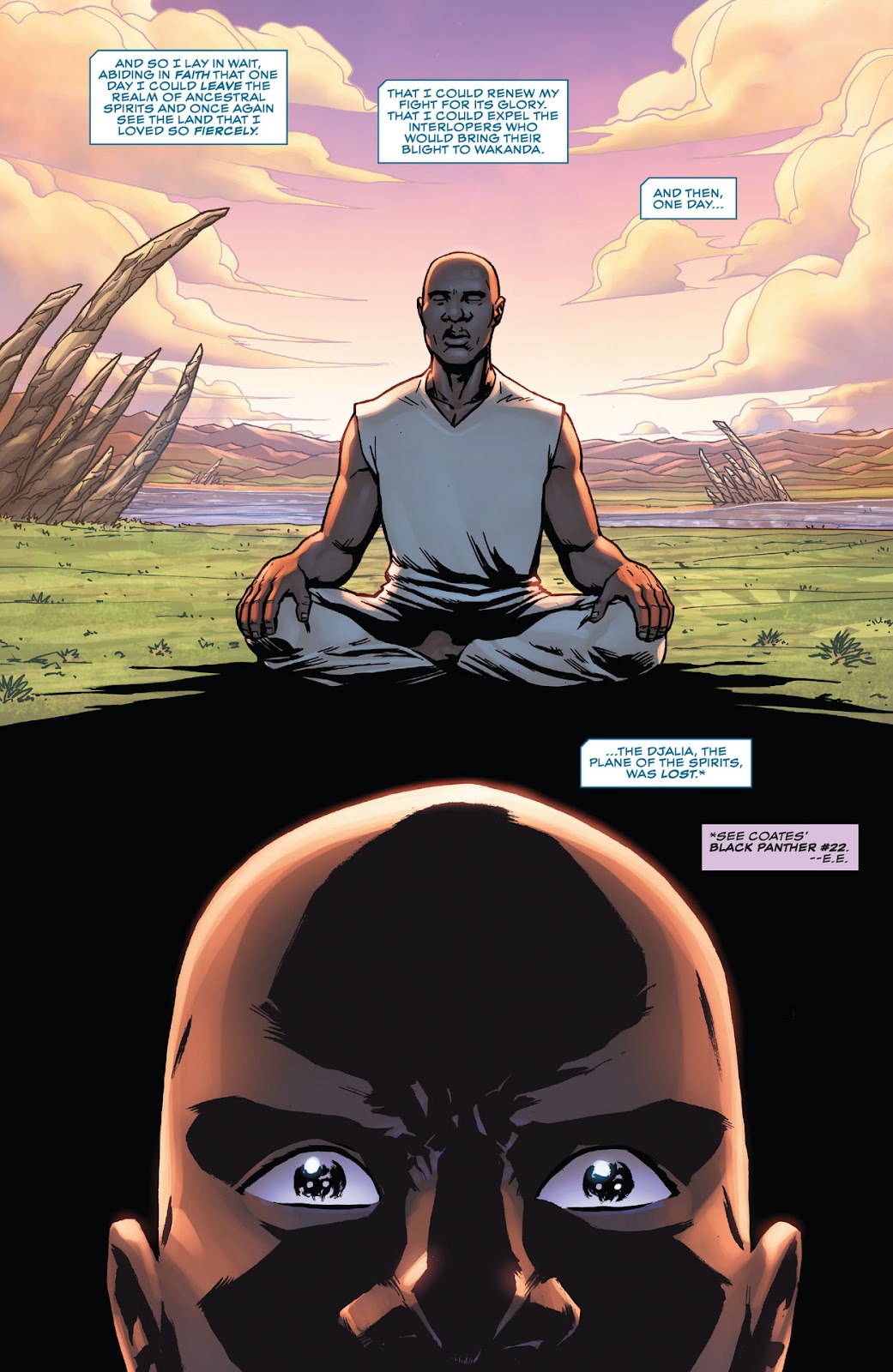 Black Panther (2023) issue 6 - Page 20