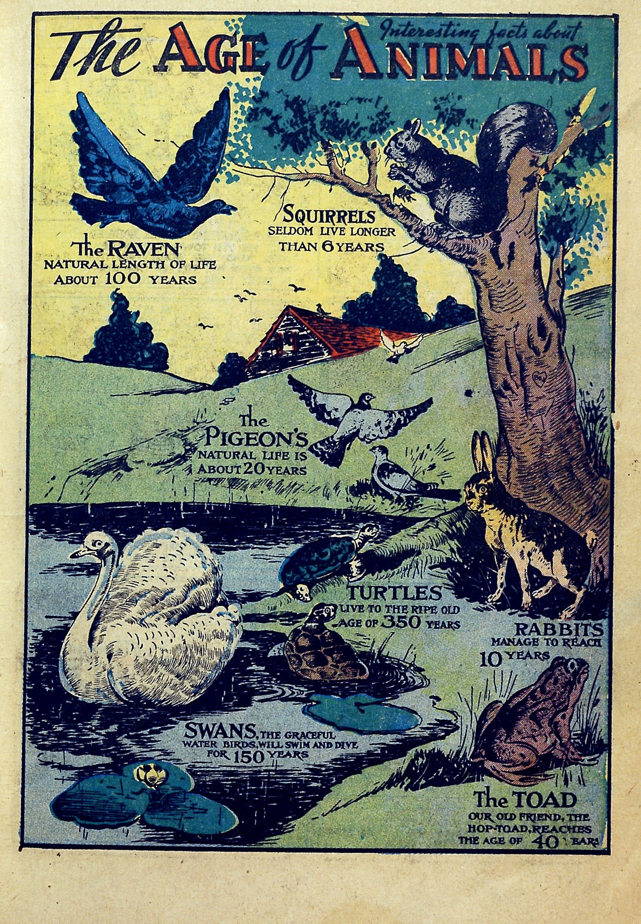 Read online Star Comics comic -  Issue #1 - 7