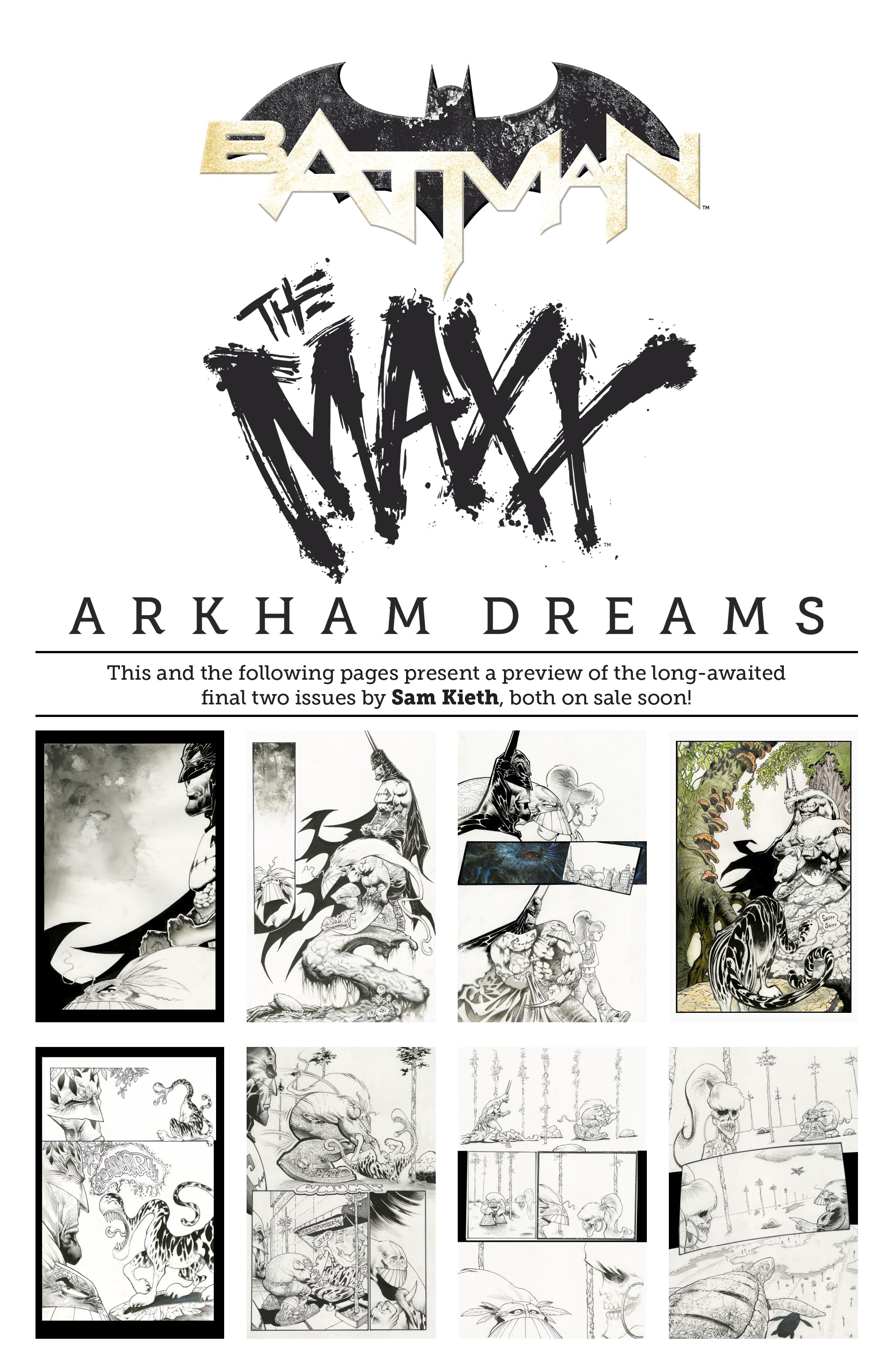Read online Batman/The Maxx: Arkham Dreams comic -  Issue # _The Lost Year Compendium - 58