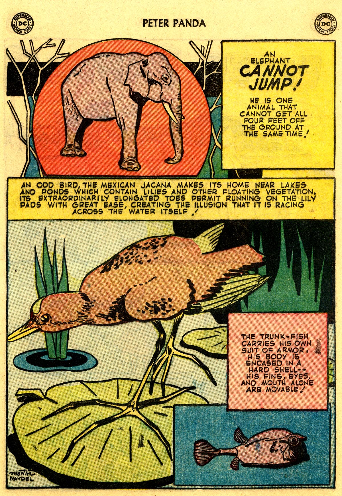 Read online Peter Panda comic -  Issue #3 - 21