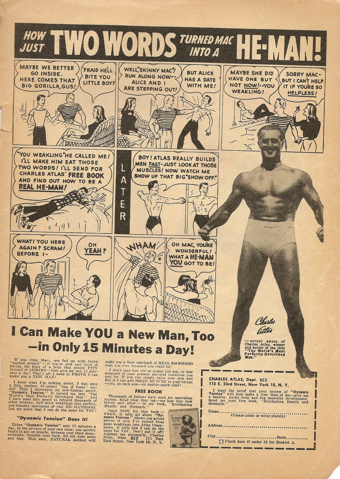 Read online Hoppy The Marvel Bunny comic -  Issue #9 - 51