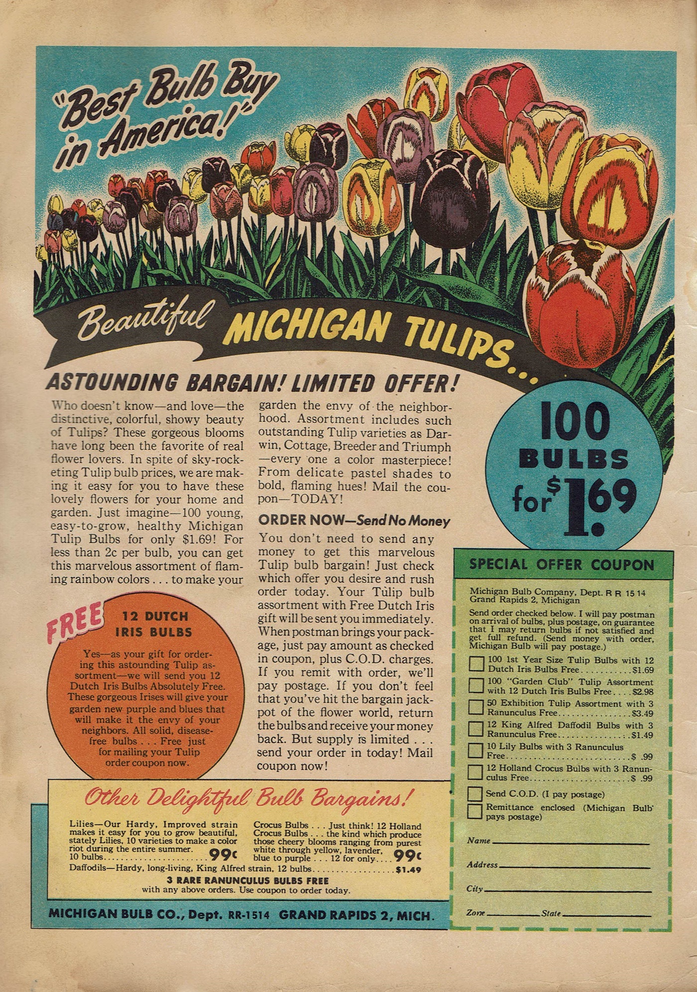 Read online Hoppy The Marvel Bunny comic -  Issue #5 - 2