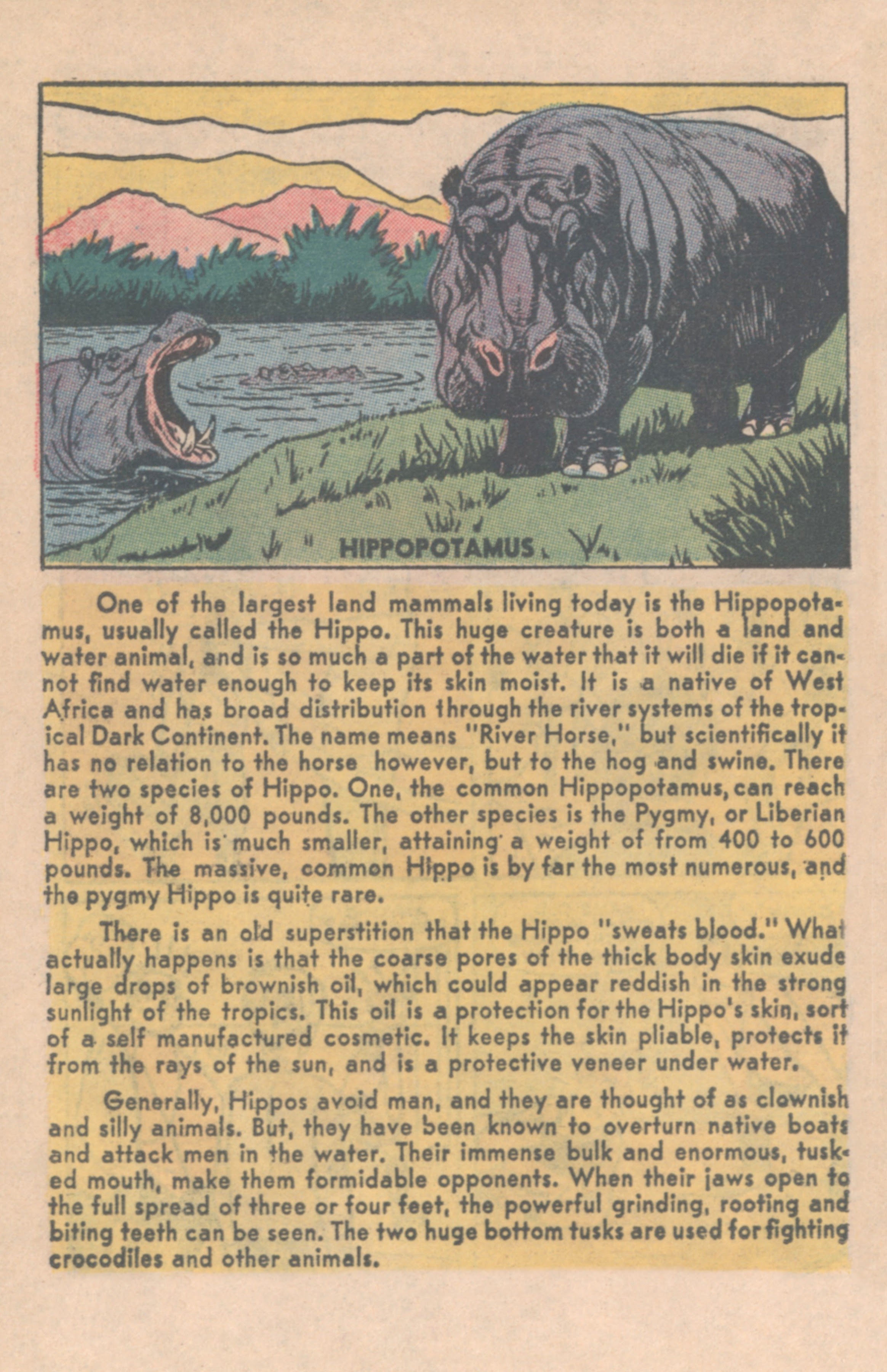 Read online Archie Digest Magazine comic -  Issue #2 - 46