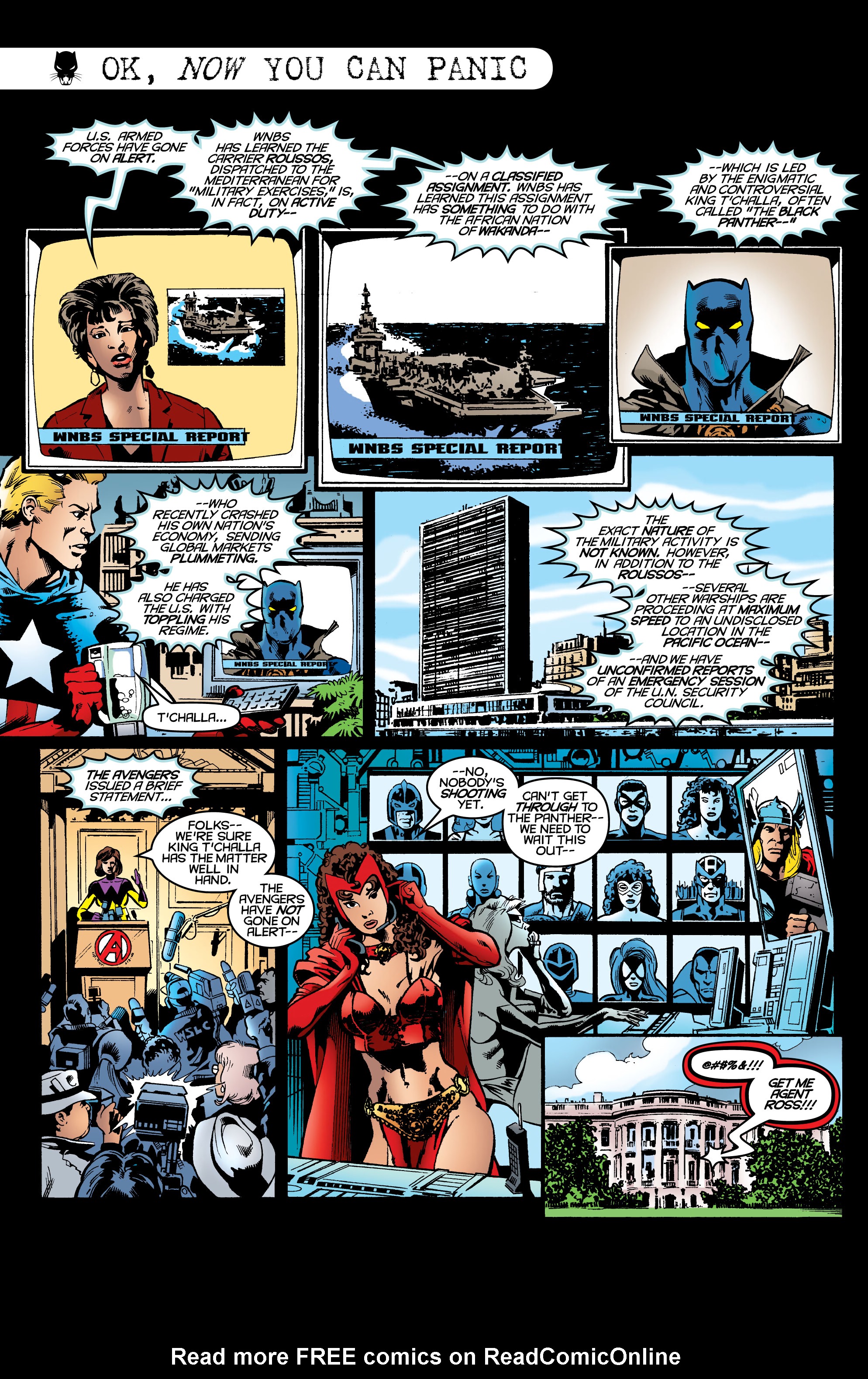 Read online Black Panther by Christopher Priest Omnibus comic -  Issue # TPB (Part 7) - 24