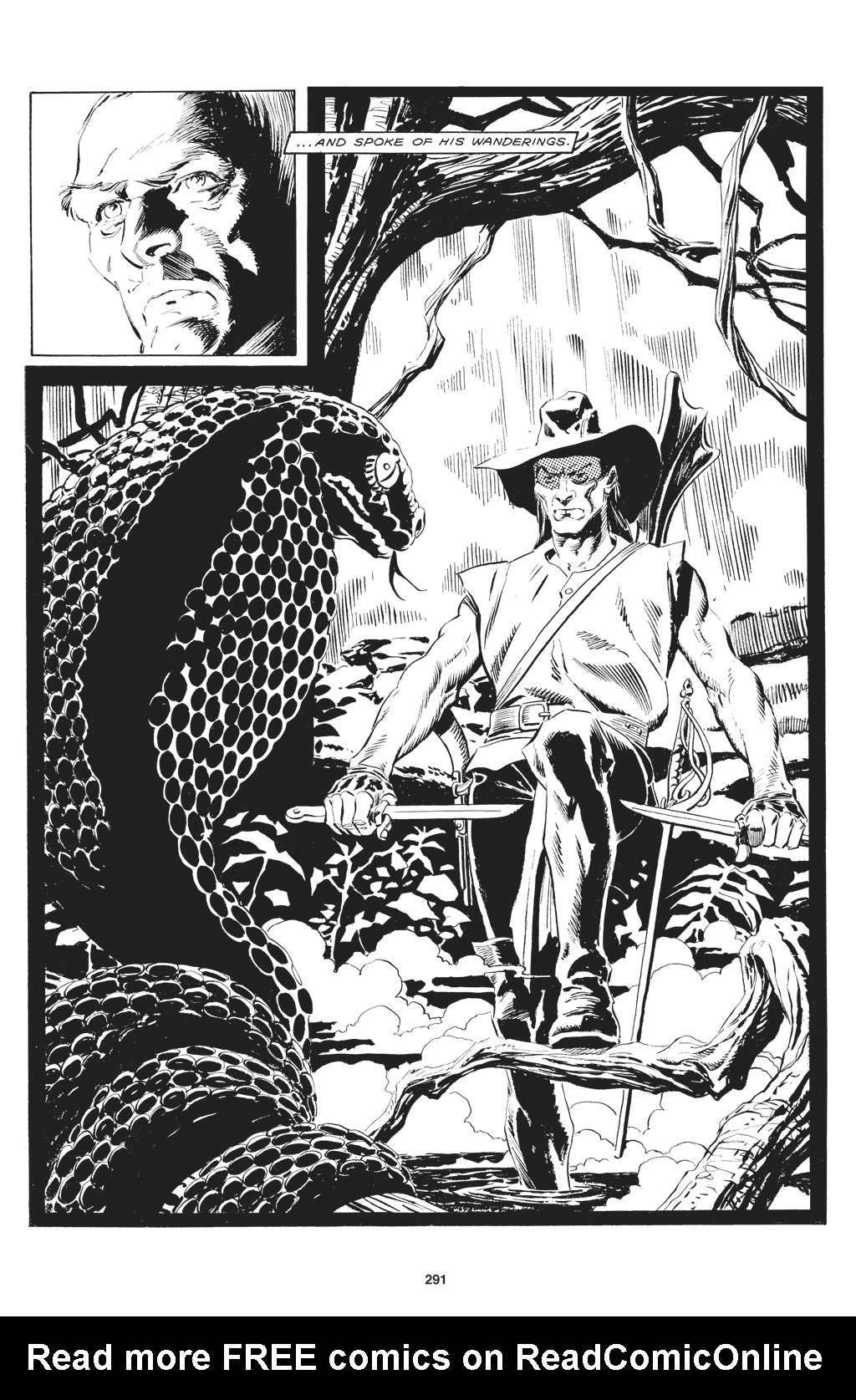 Read online The Saga of Solomon Kane comic -  Issue # TPB - 291