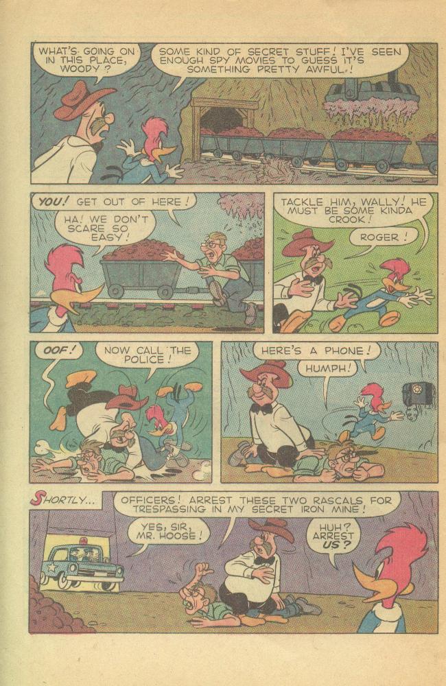 Read online Walter Lantz Woody Woodpecker (1962) comic -  Issue #120 - 25