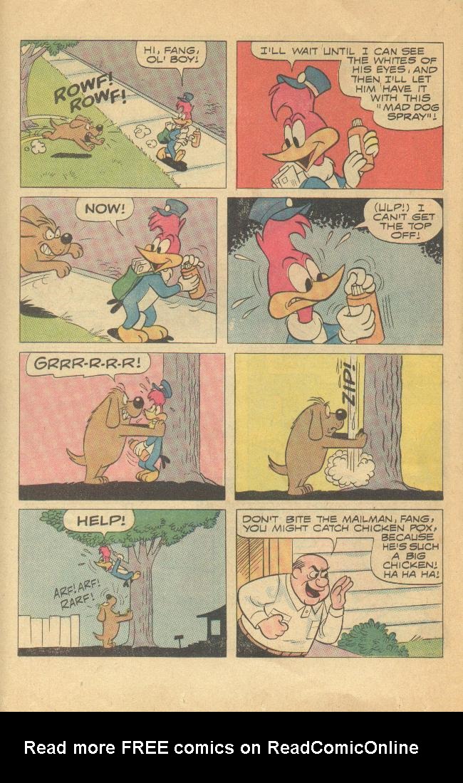 Read online Walter Lantz Woody Woodpecker (1962) comic -  Issue #120 - 17
