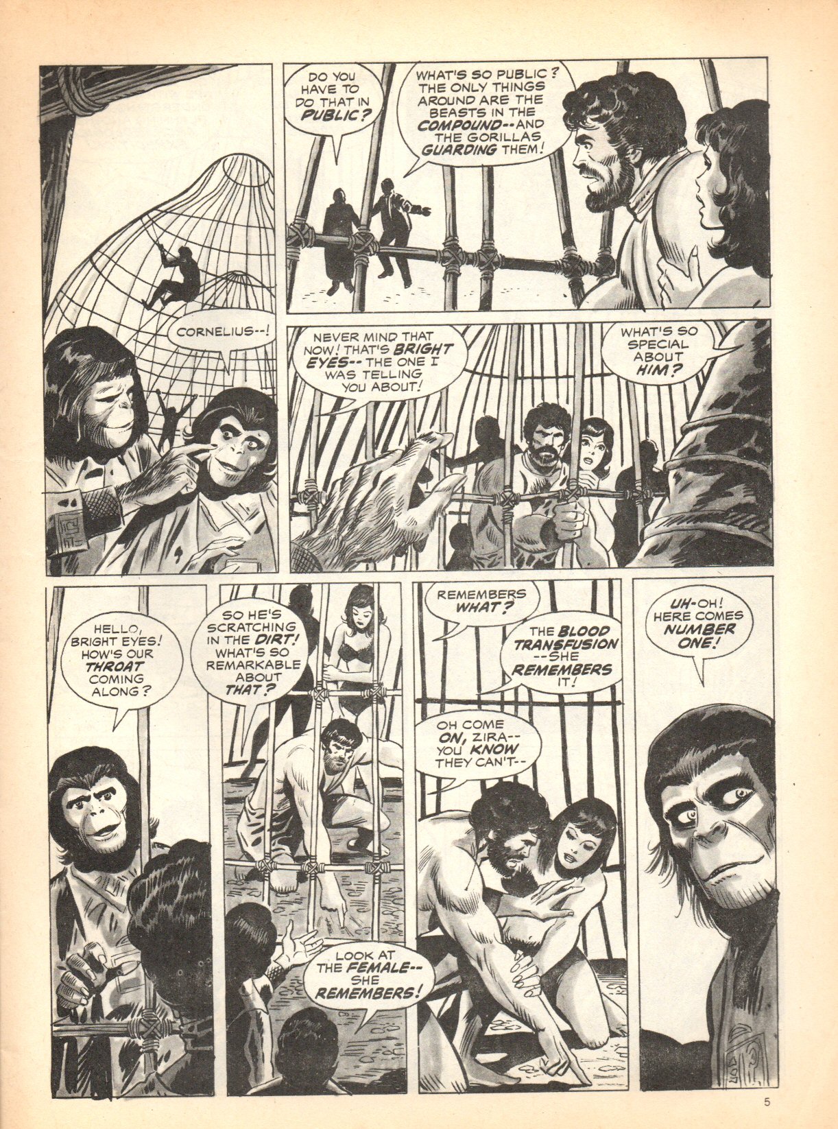 Read online Planet of the Apes (1974) comic -  Issue #3 - 5