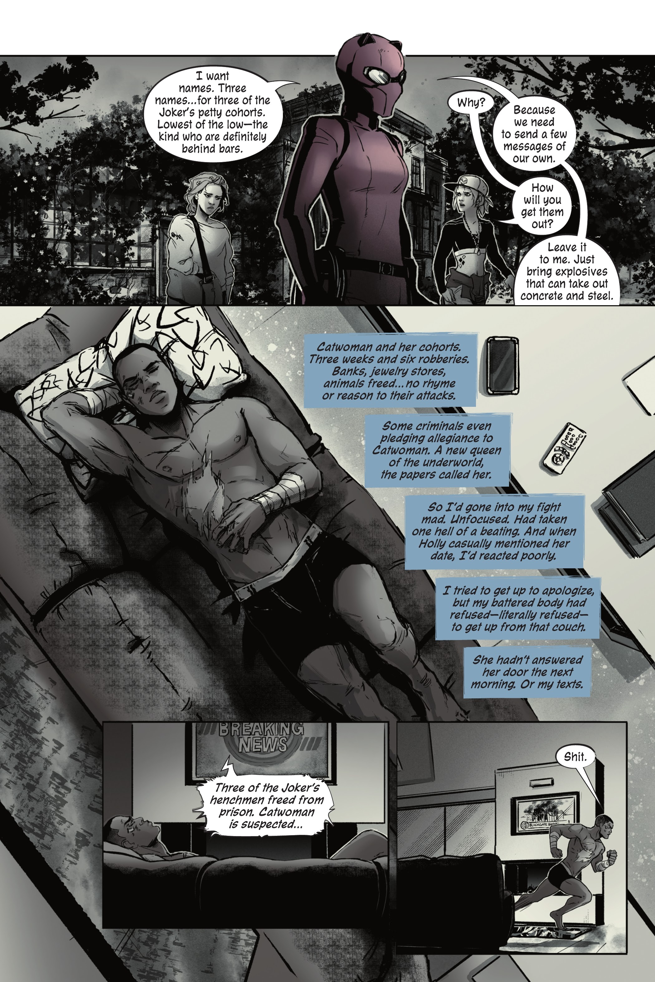 Read online Catwoman: Soulstealer comic -  Issue # TPB (Part 2) - 3
