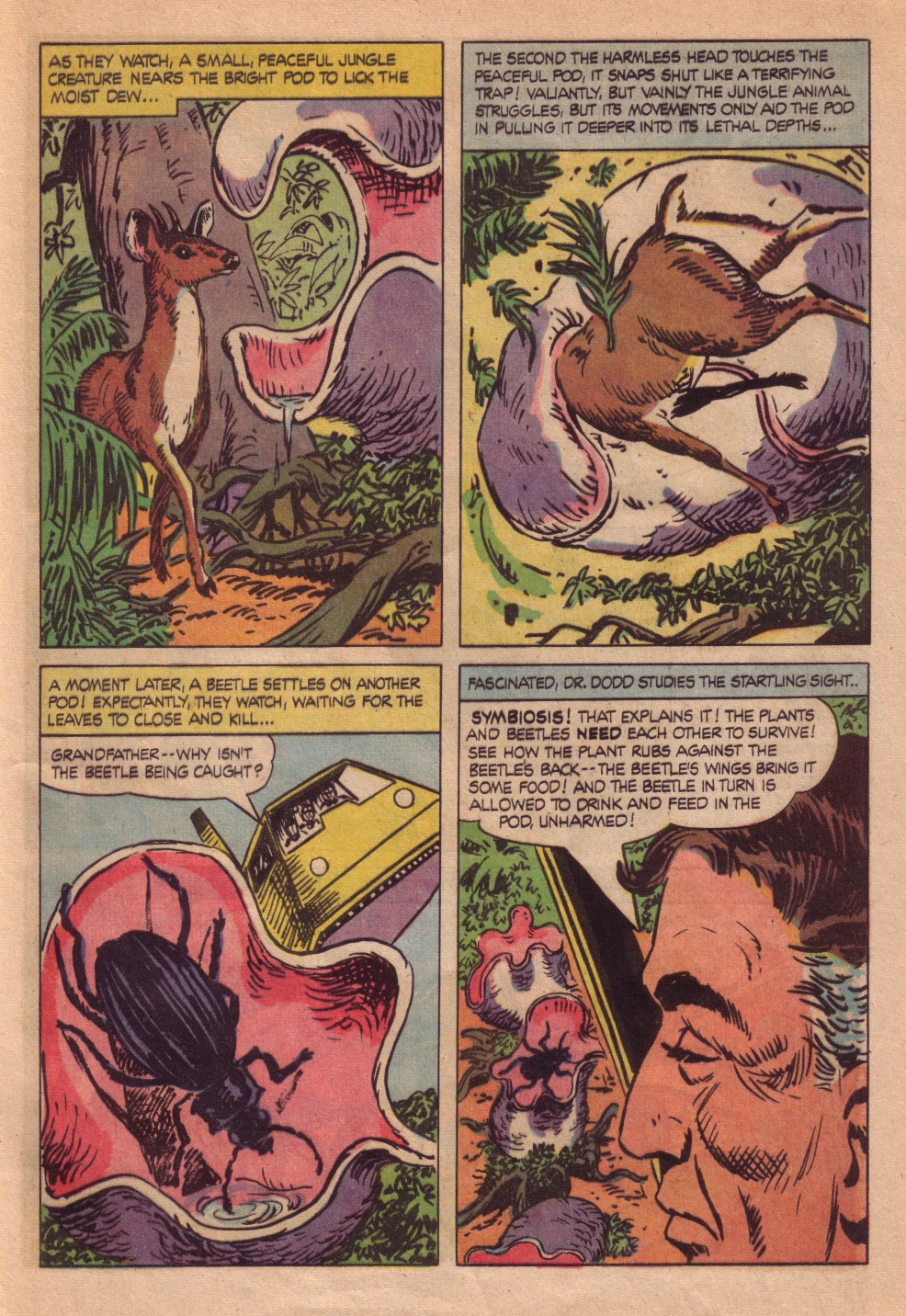 Read online Kona comic -  Issue #12 - 25
