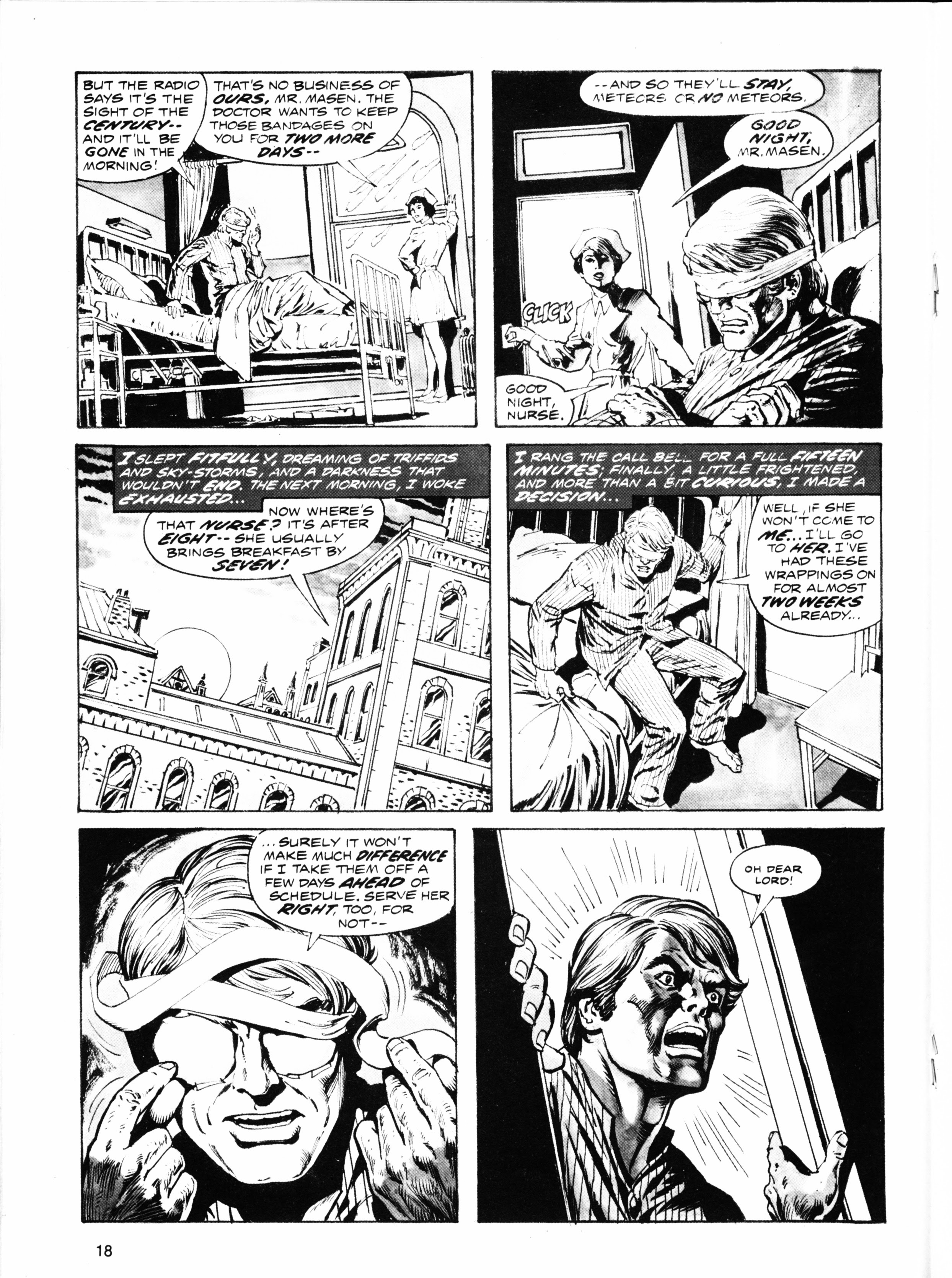 Read online Planet of the Apes (1974) comic -  Issue #40 - 18