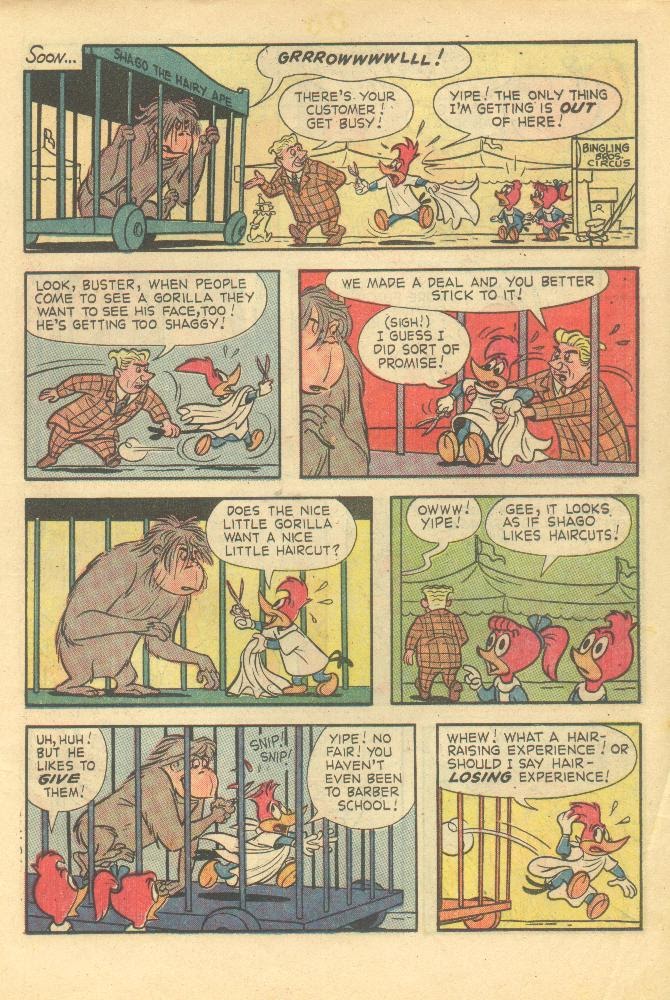 Read online Walter Lantz Woody Woodpecker (1962) comic -  Issue #78 - 15