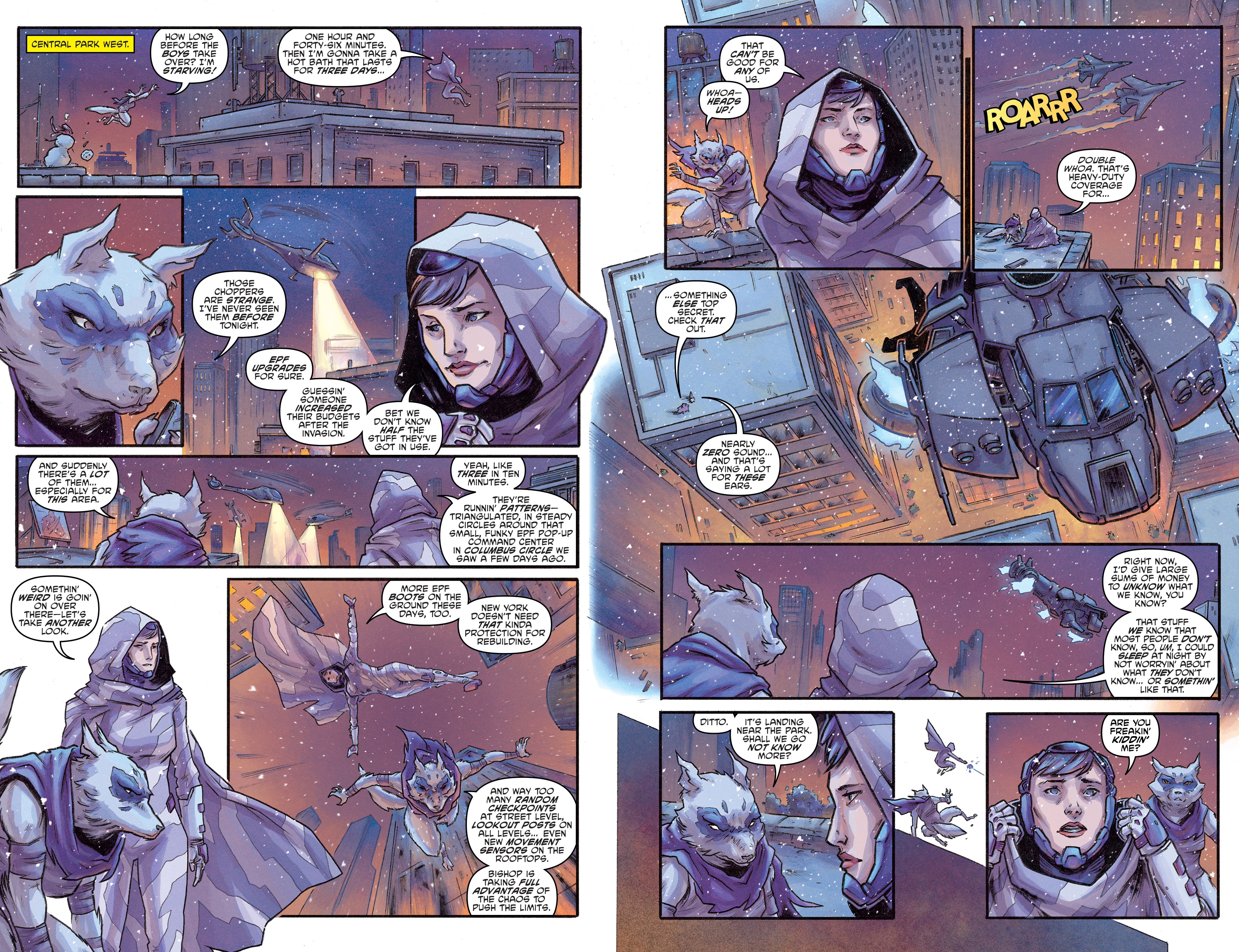 Read online Teenage Mutant Ninja Turtles: Best Of comic -  Issue # Raphael - 58