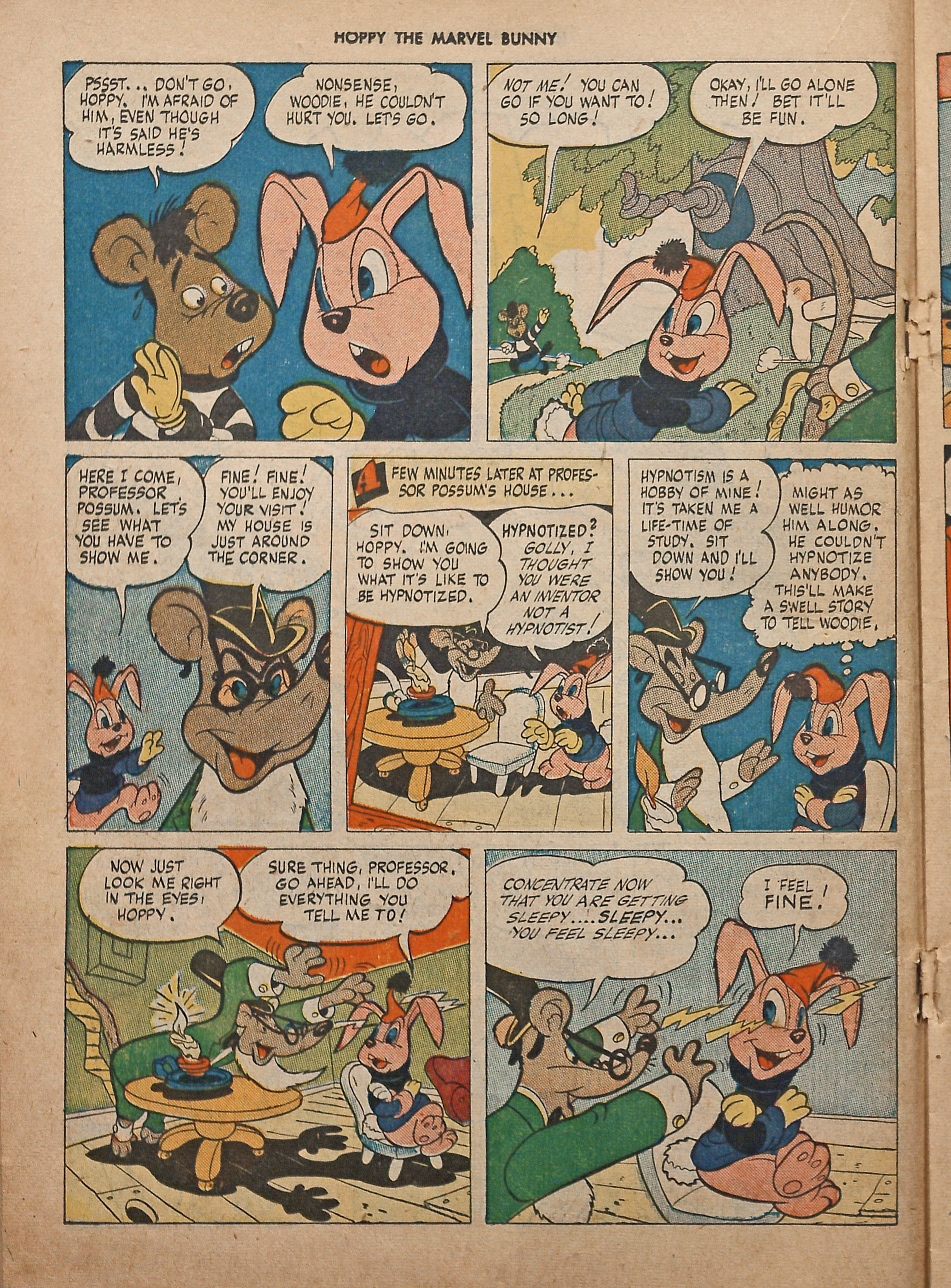 Read online Hoppy The Marvel Bunny comic -  Issue #12 - 24