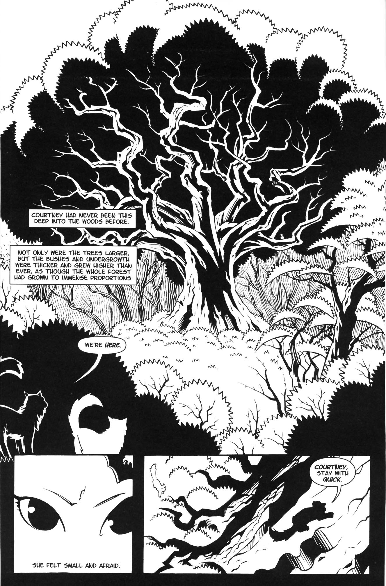 Read online Courtney Crumrin and the Coven of Mystics comic -  Issue #2 - 10