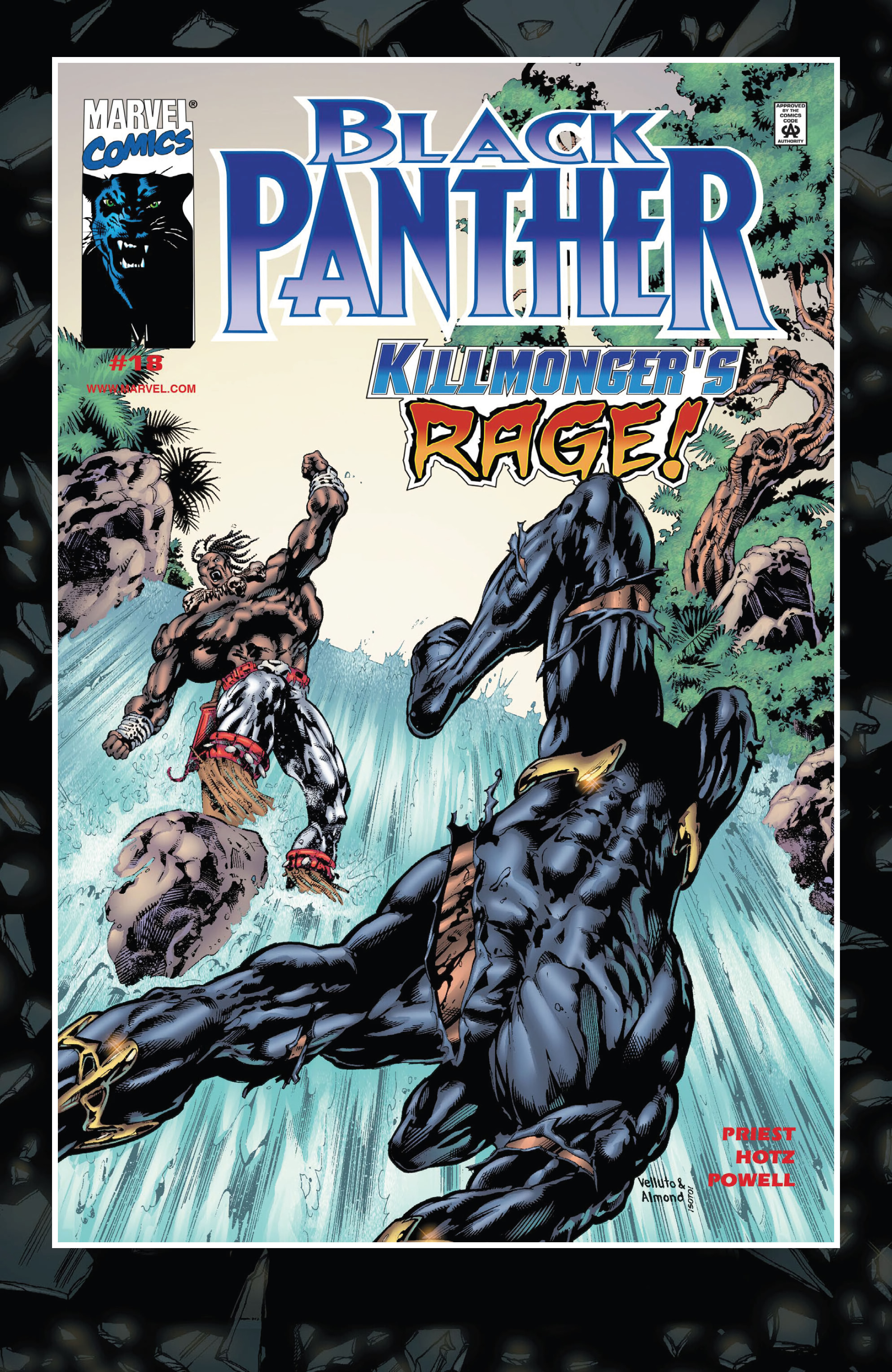 Read online Black Panther by Christopher Priest Omnibus comic -  Issue # TPB (Part 4) - 89