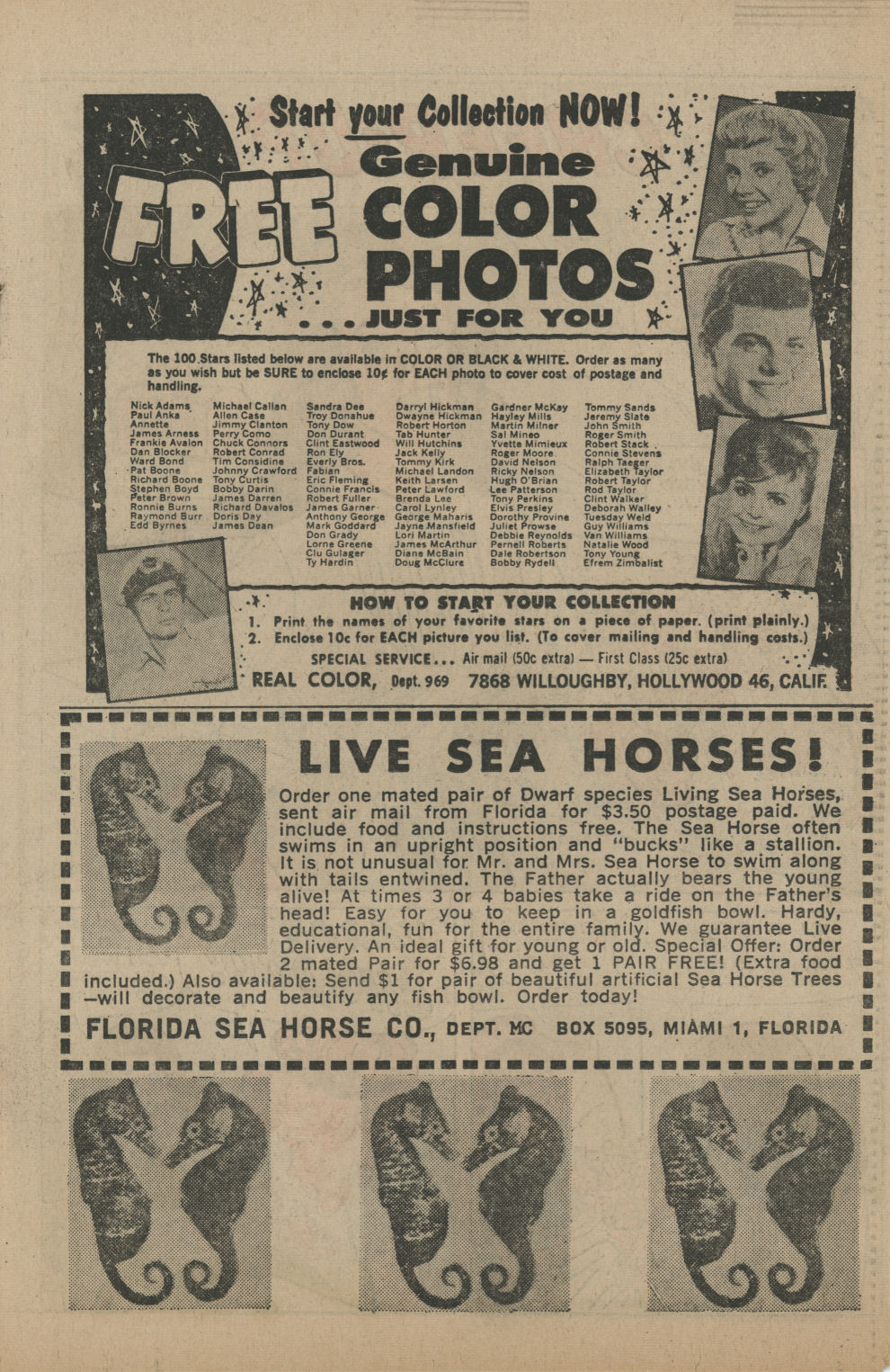 Read online Patsy and Hedy comic -  Issue #83 - 19