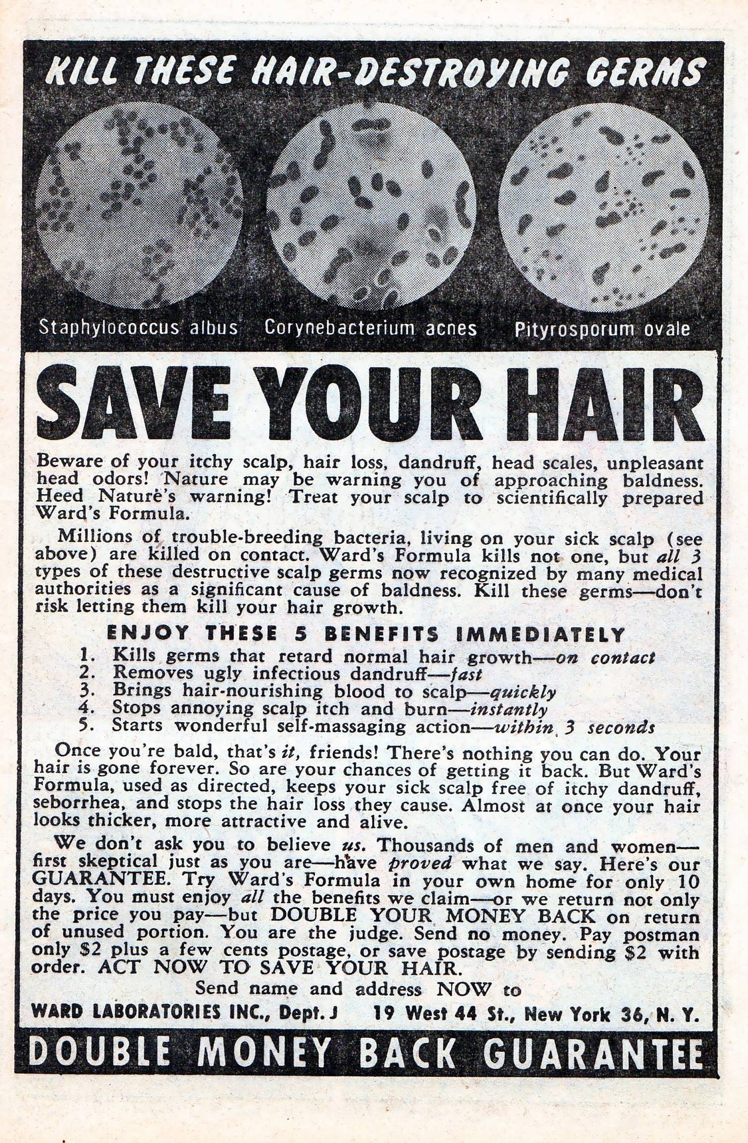 Read online Battleground comic -  Issue #4 - 9