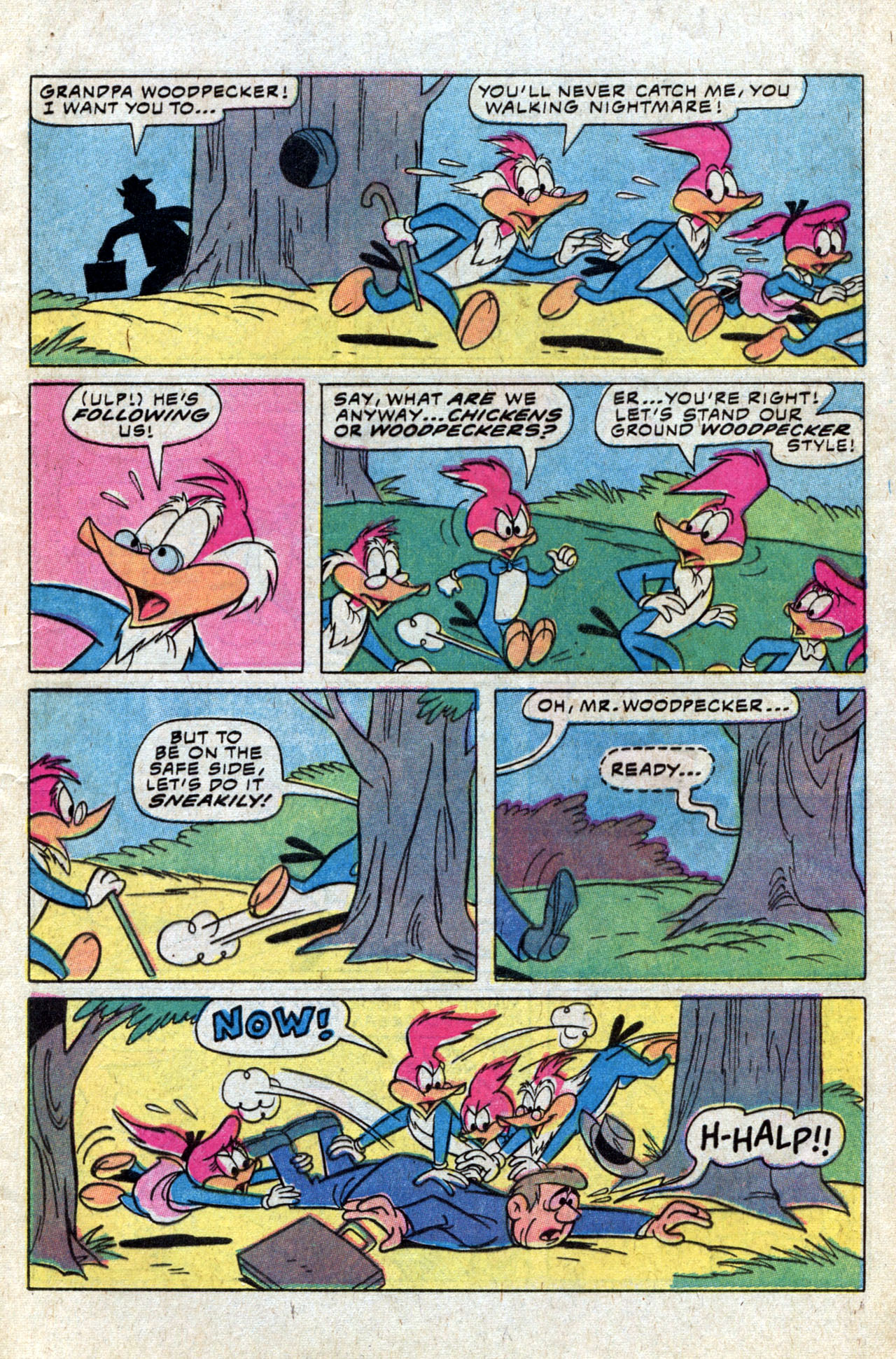 Read online Walter Lantz Woody Woodpecker (1962) comic -  Issue #194 - 9