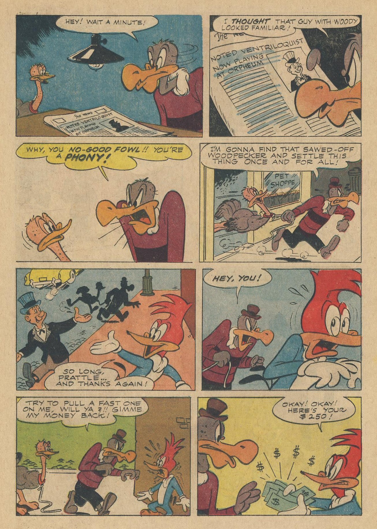 Read online Walter Lantz Woody Woodpecker (1962) comic -  Issue #83 - 13