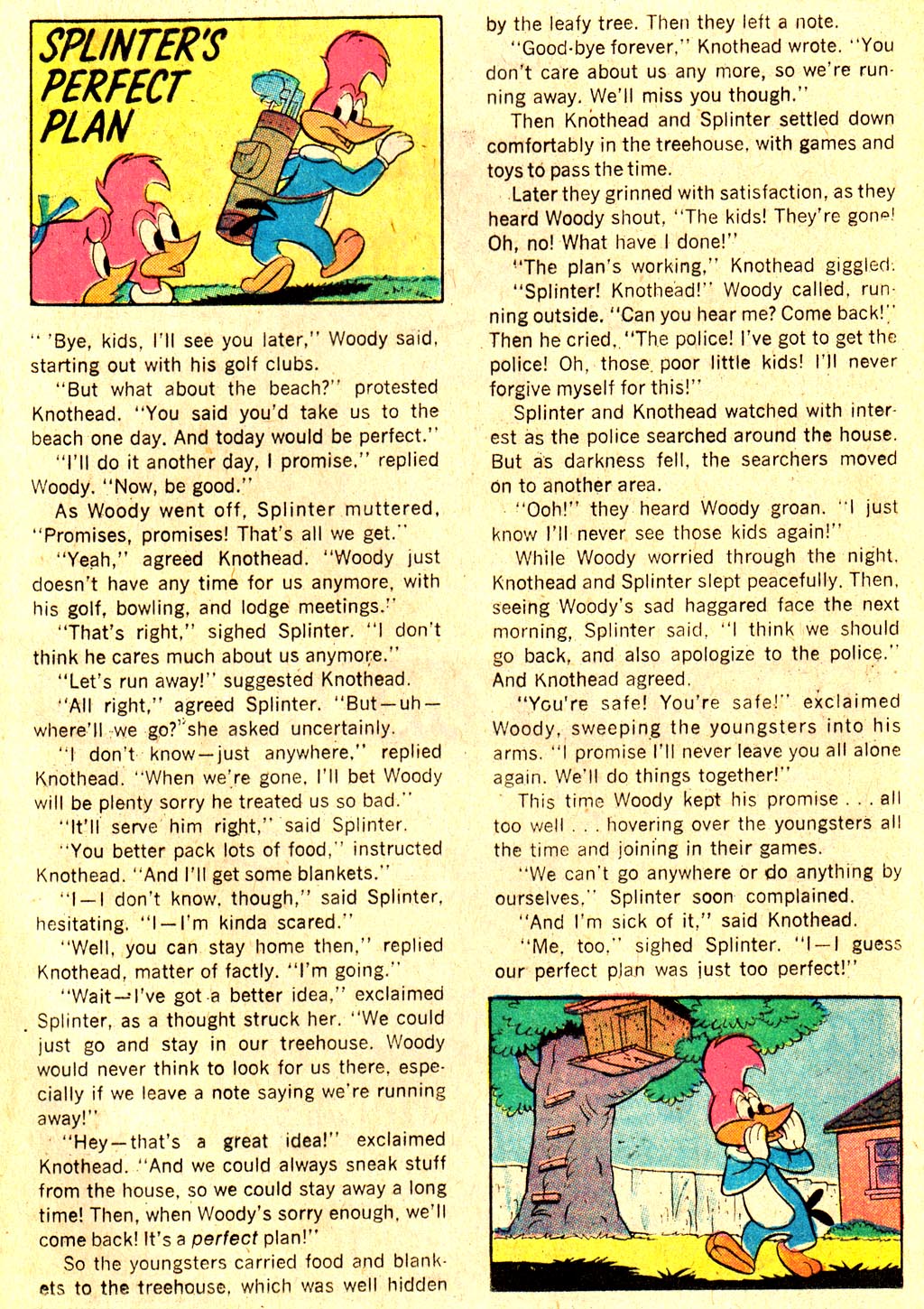 Read online Walter Lantz Woody Woodpecker (1962) comic -  Issue #132 - 14