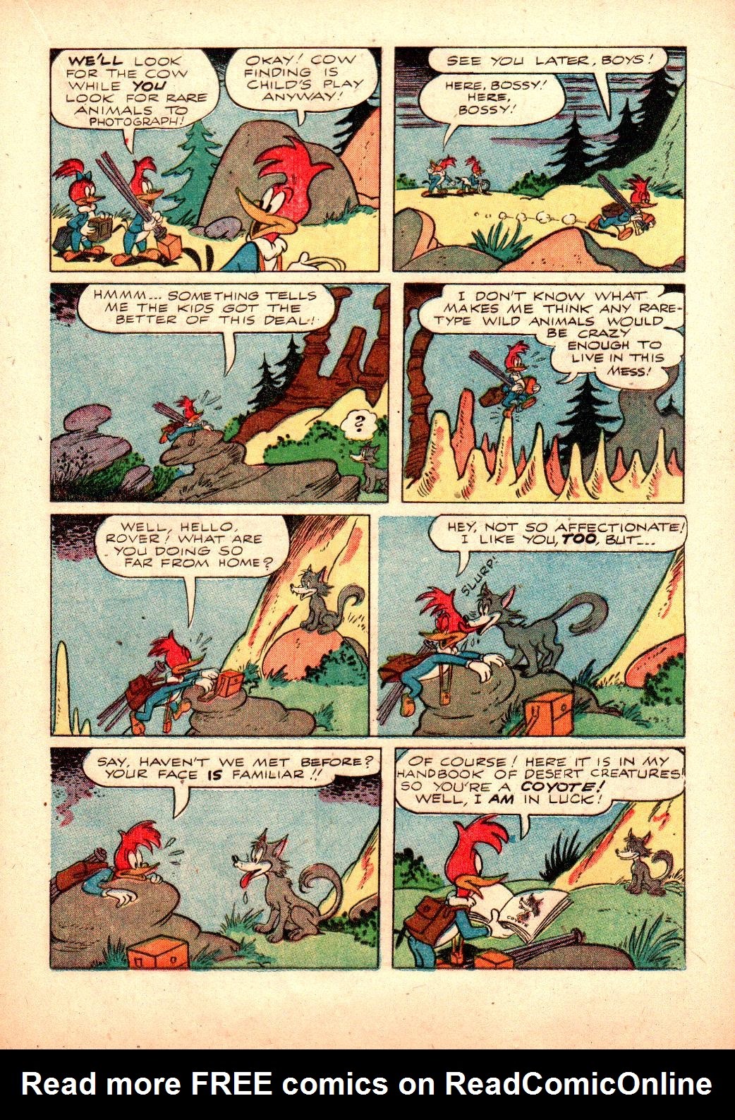 Read online Walter Lantz Woody Woodpecker (1952) comic -  Issue #24 - 17