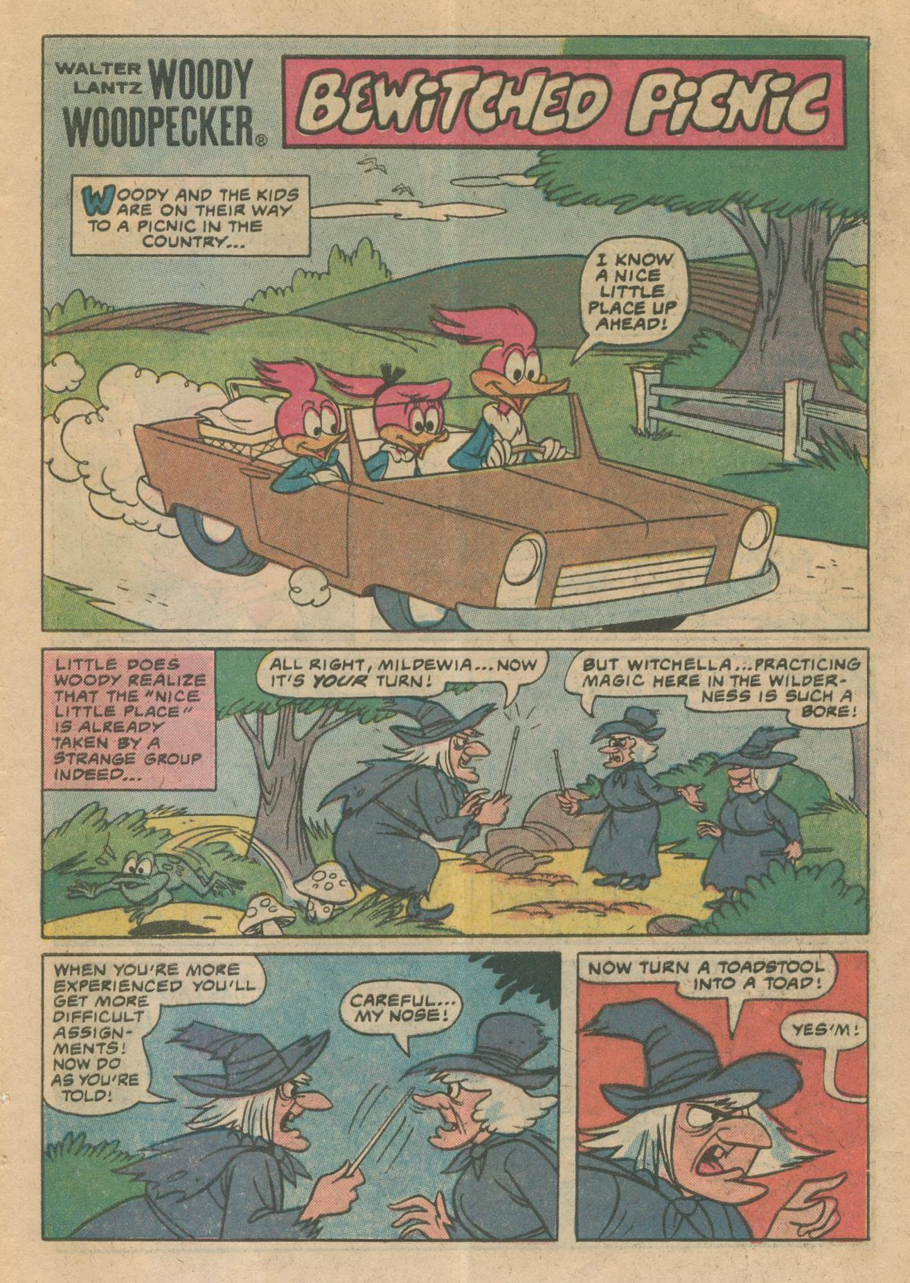 Read online Walter Lantz Woody Woodpecker (1962) comic -  Issue #189 - 27