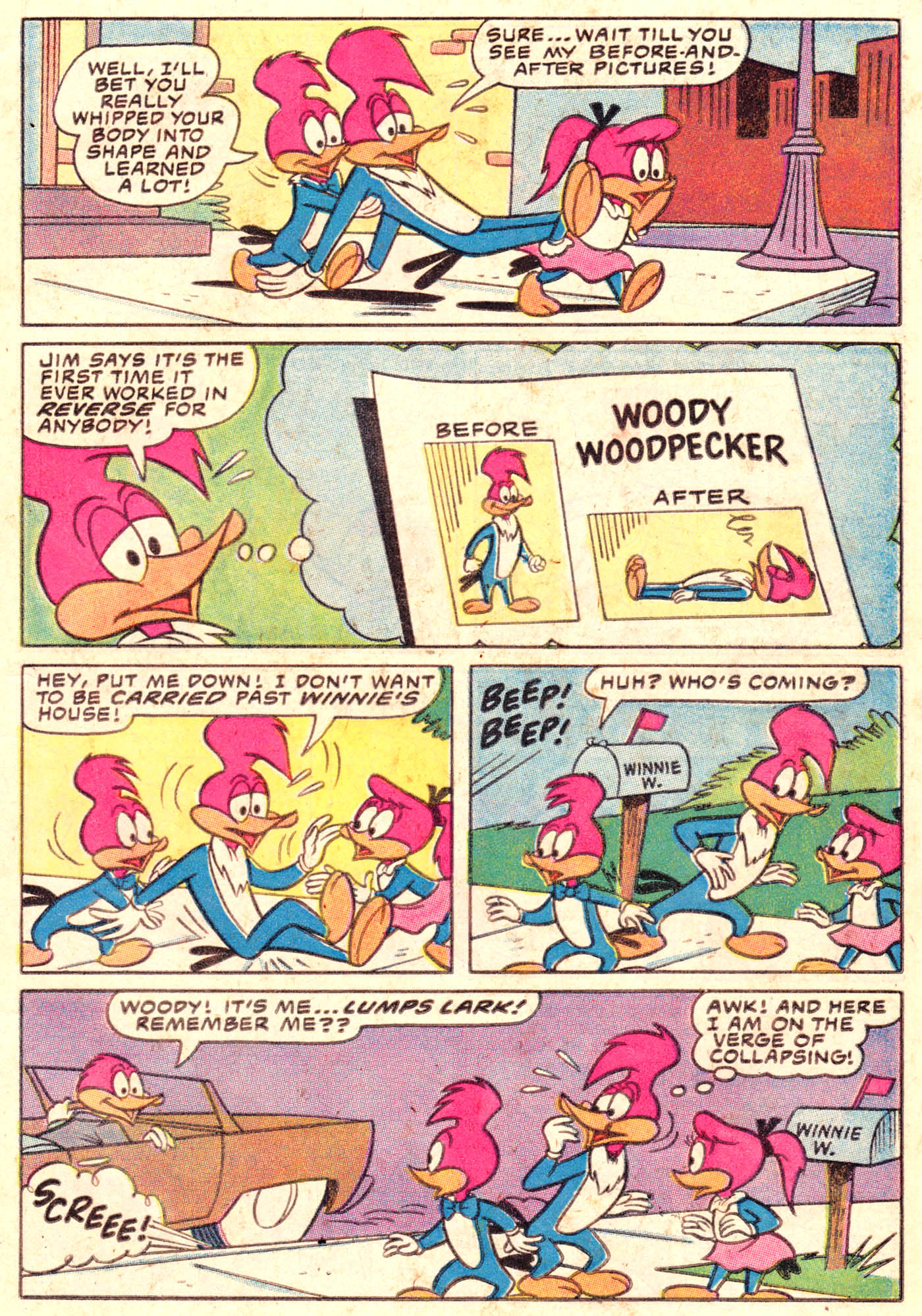 Read online Walter Lantz Woody Woodpecker (1962) comic -  Issue #198 - 23