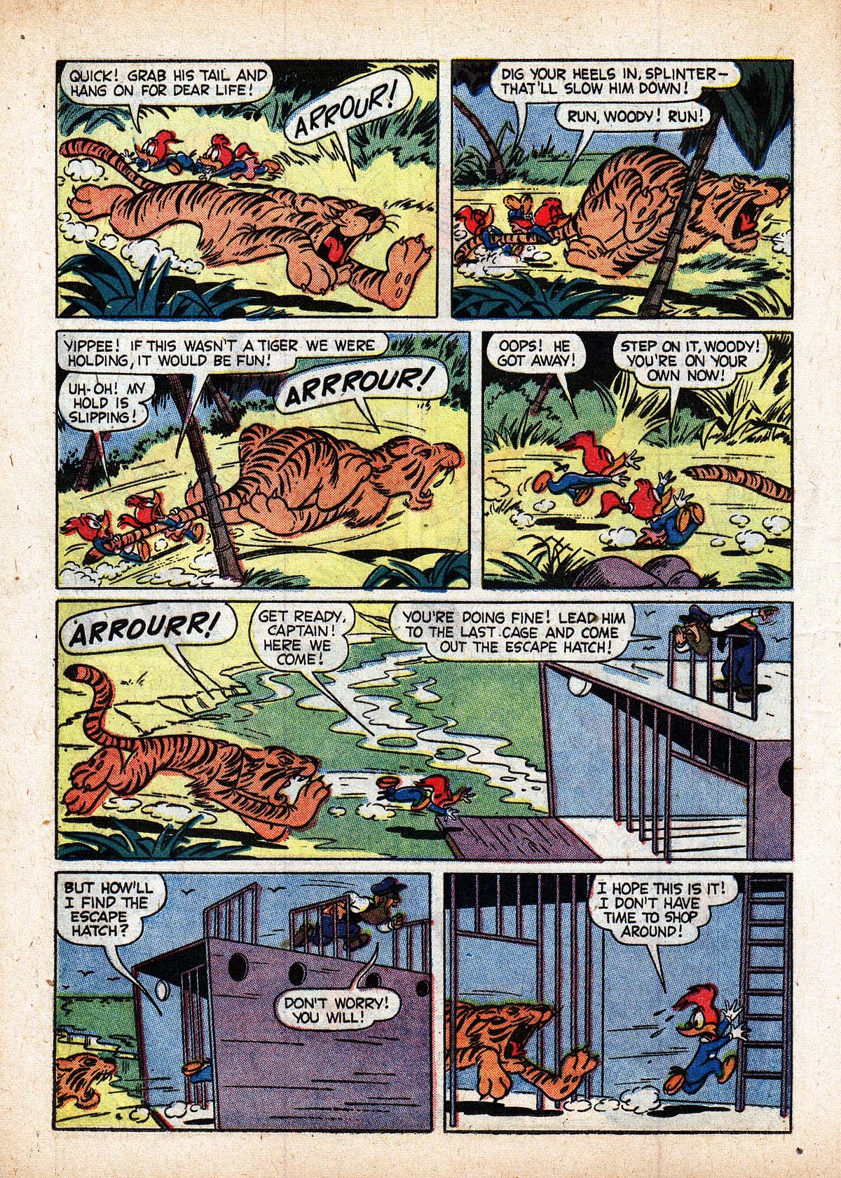 Read online Walter Lantz Woody Woodpecker (1952) comic -  Issue #52 - 12
