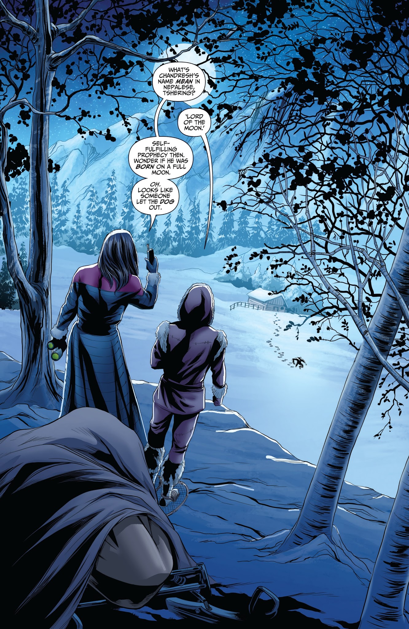 Read online Van Helsing vs. Werewolf comic -  Issue #5 - 4