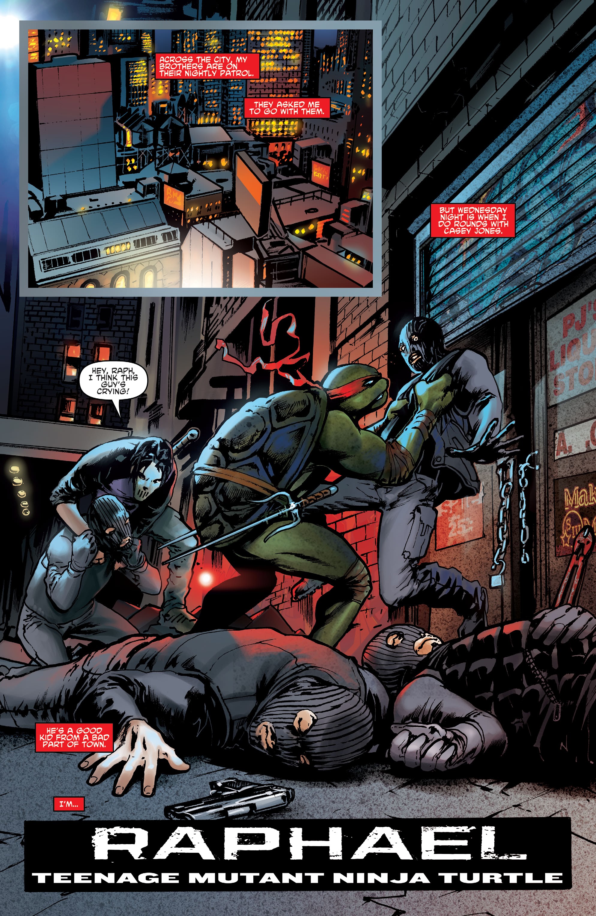 Read online Teenage Mutant Ninja Turtles: Best Of comic -  Issue # Raphael - 29
