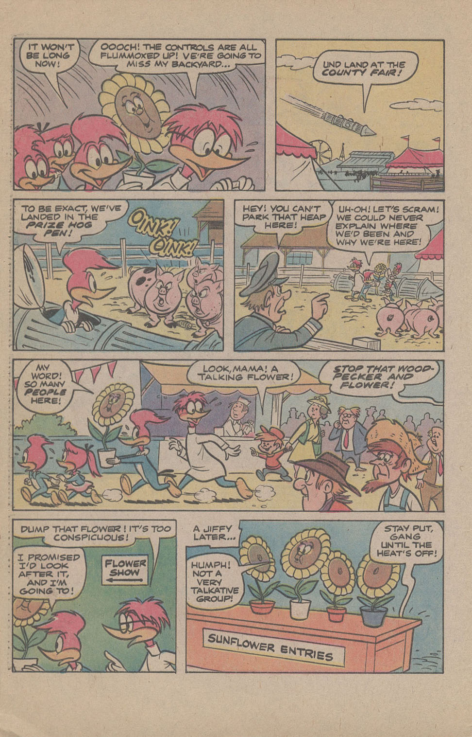 Read online Walter Lantz Woody Woodpecker (1962) comic -  Issue #169 - 32