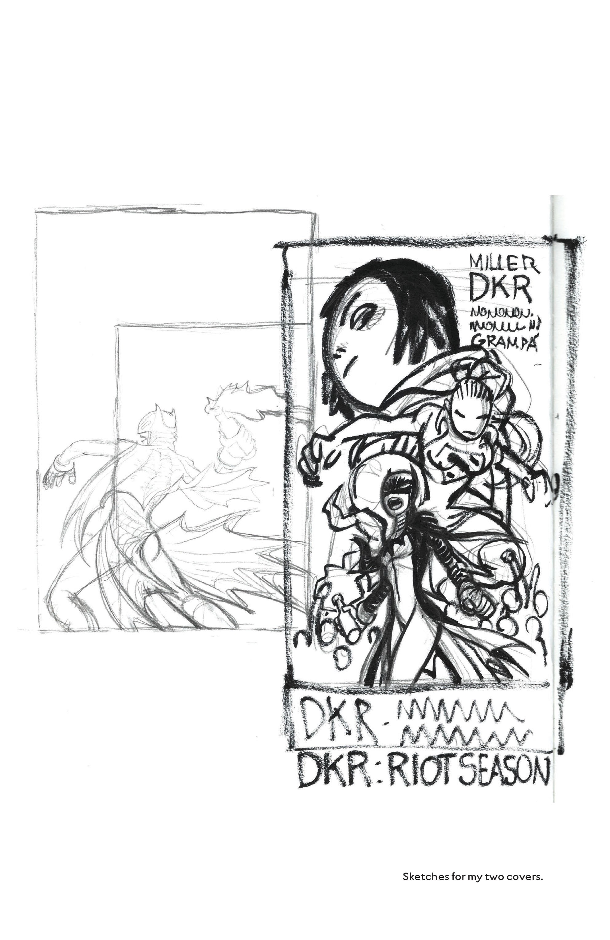 Read online Dark Knight Returns: The Golden Child comic -  Issue # _The Deluxe Edition - 79