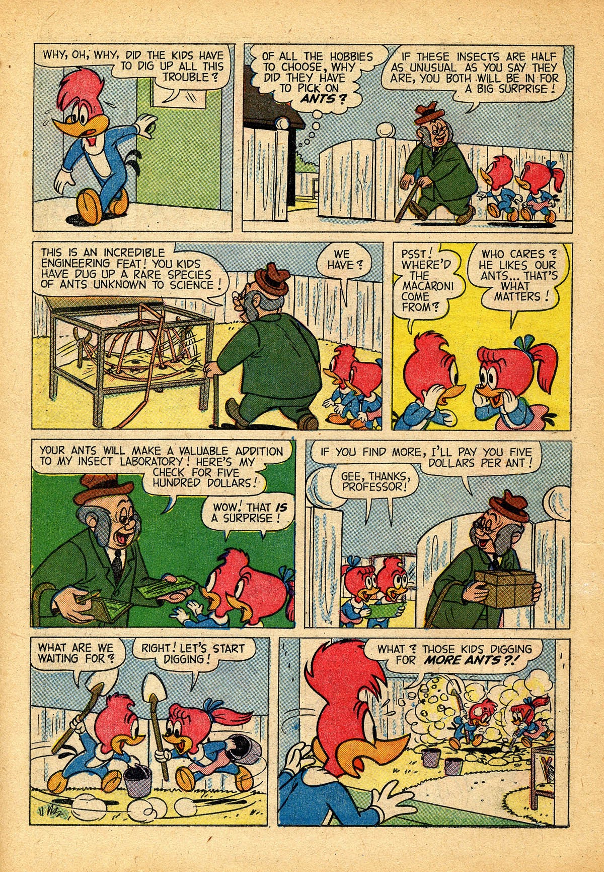 Read online Walter Lantz Woody Woodpecker (1952) comic -  Issue #56 - 14