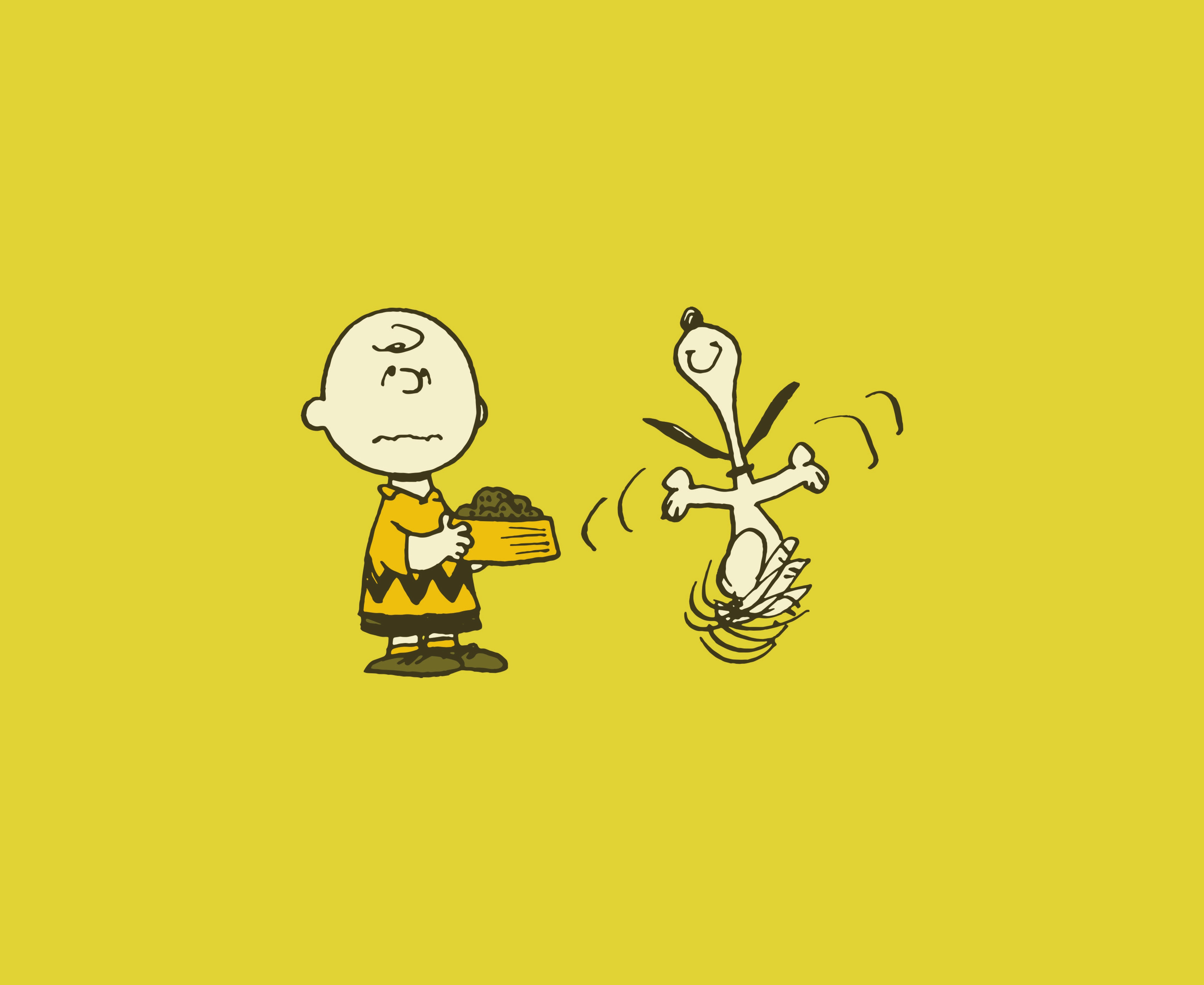 Read online Peanuts: A Tribute to Charles M. Schulz comic -  Issue # TPB (Part 2) - 29