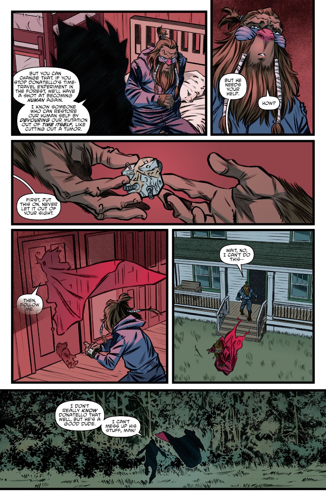 Teenage Mutant Ninja Turtles (2011) issue 145 - Page 9