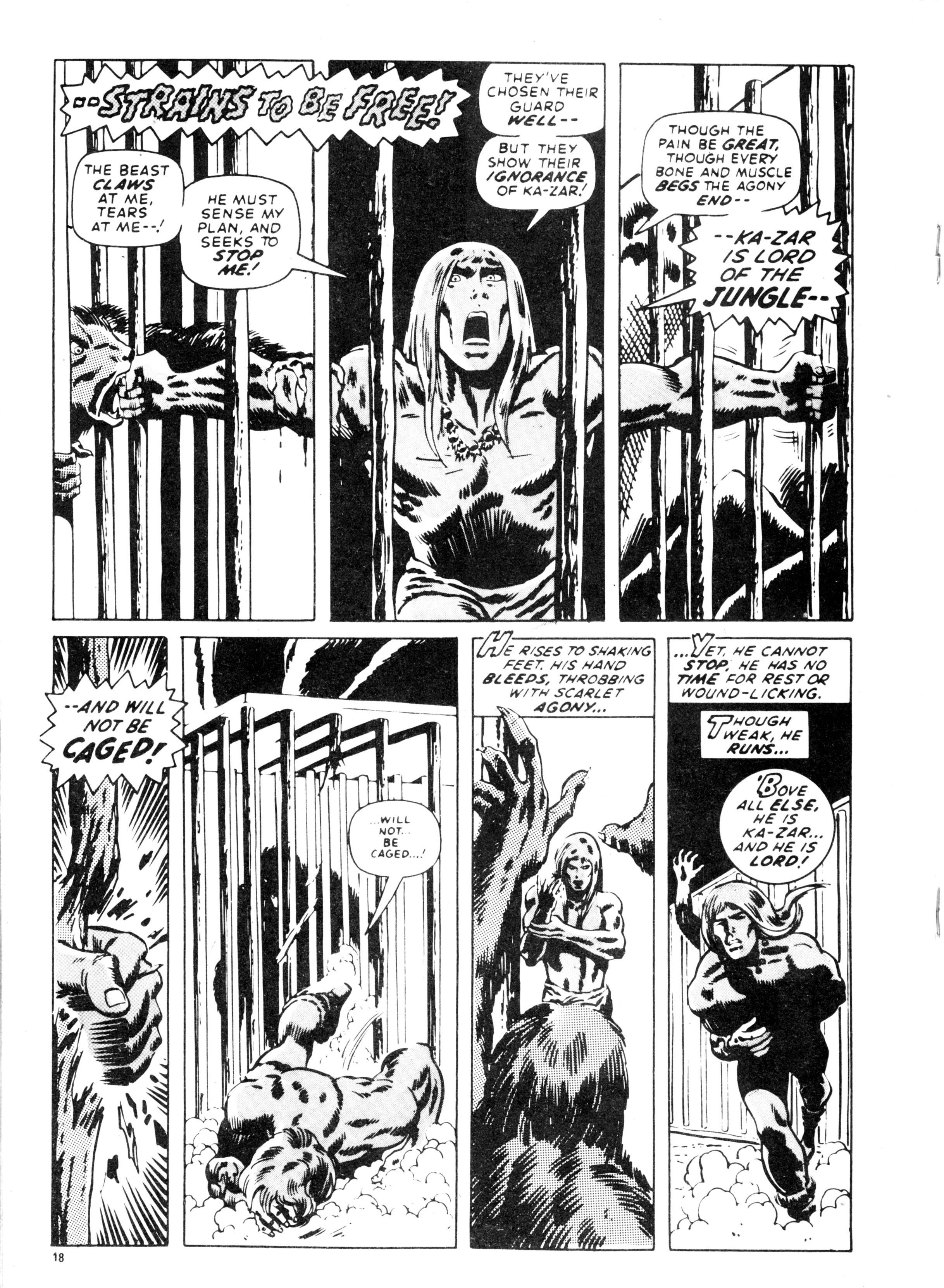 Read online Planet of the Apes (1974) comic -  Issue #11 - 18