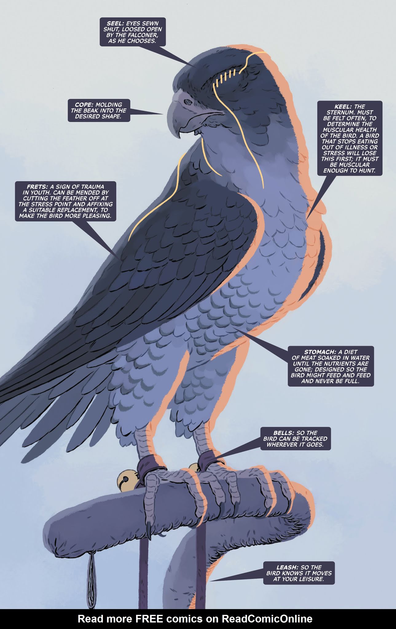 Read online Strange Sports Stories comic -  Issue #4 - 3
