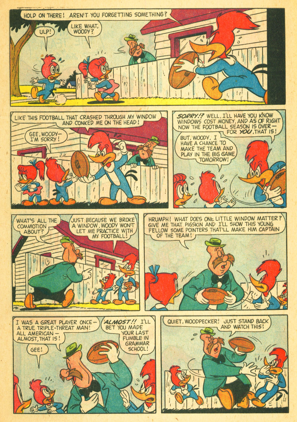 Read online Walter Lantz Woody Woodpecker (1952) comic -  Issue #51 - 28