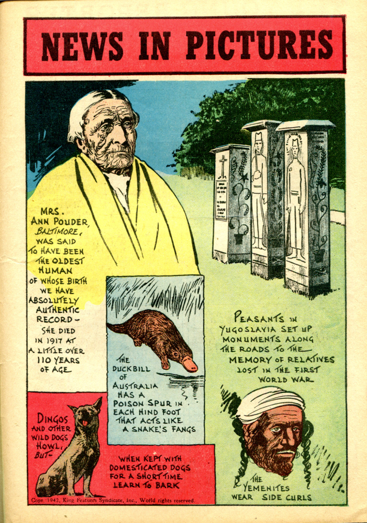 Read online Ace Comics comic -  Issue #66 - 47