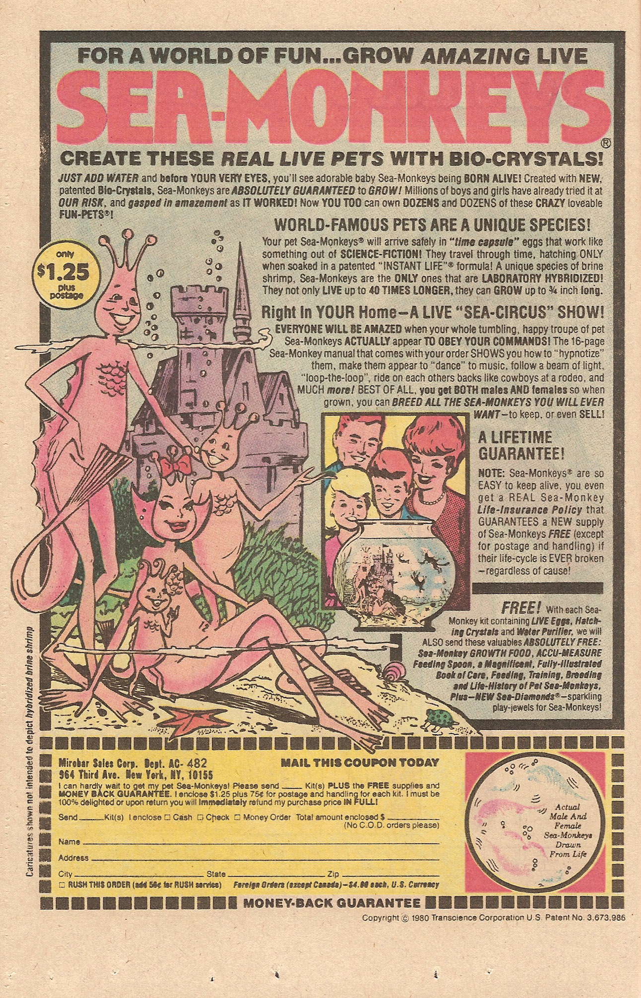 Read online Archie's Girls Betty and Veronica comic -  Issue #317 - 12