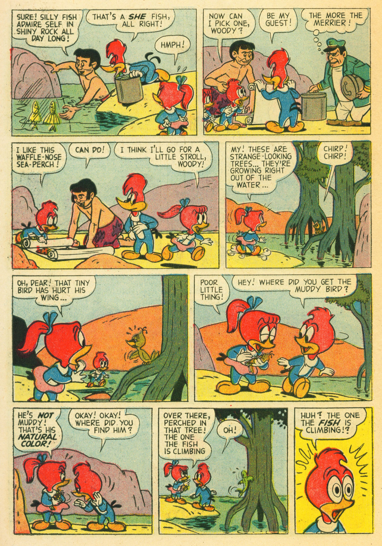 Read online Walter Lantz Woody Woodpecker (1952) comic -  Issue #57 - 10
