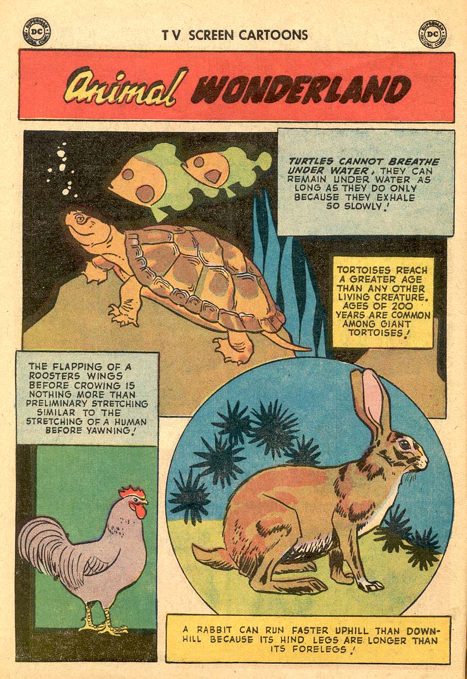 Read online TV Screen Cartoons comic -  Issue #136 - 10