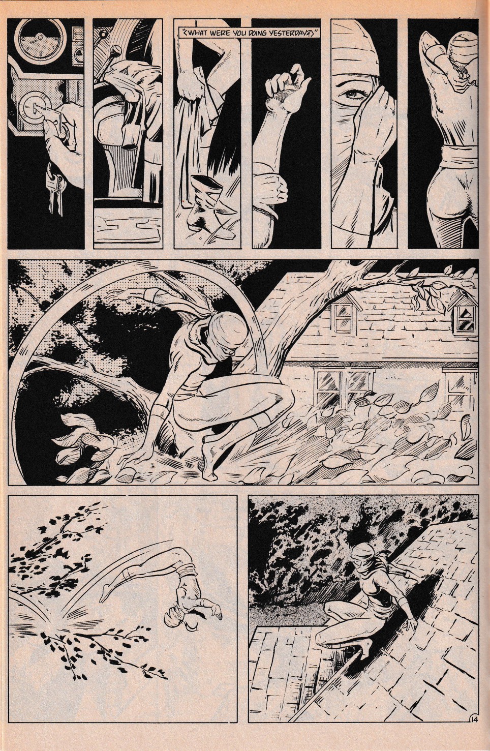 Read online Ninja comic -  Issue #2 - 16