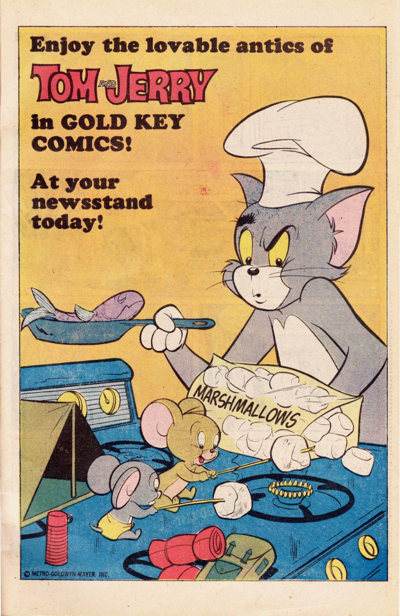 Read online The Pink Panther (1971) comic -  Issue #60 - 25