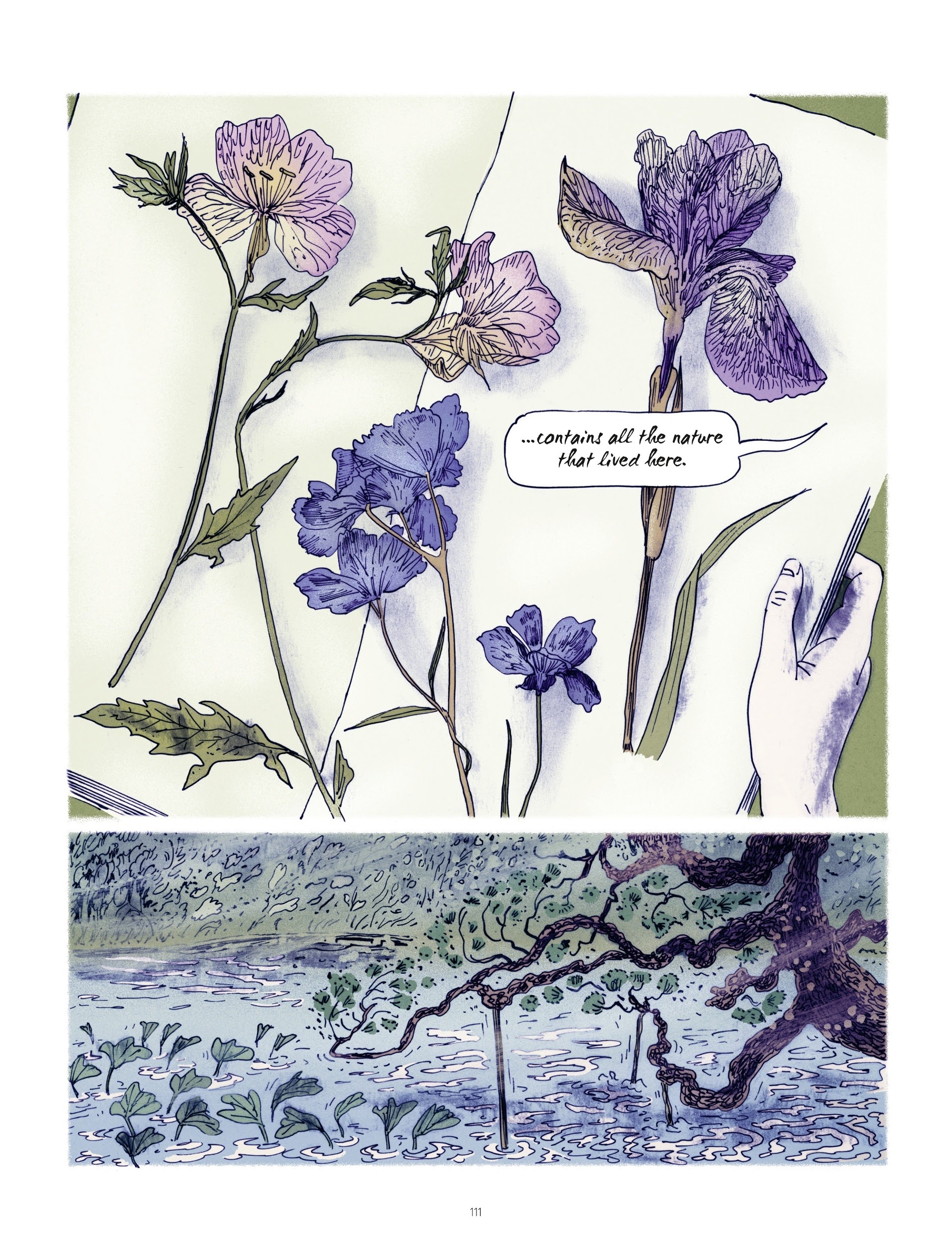 Read online The Young Woman and the Sea comic -  Issue # TPB - 111