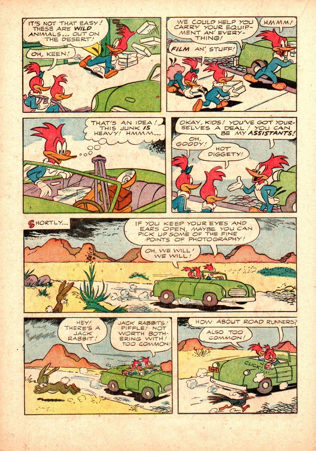 Read online Walter Lantz Woody Woodpecker (1952) comic -  Issue #24 - 14