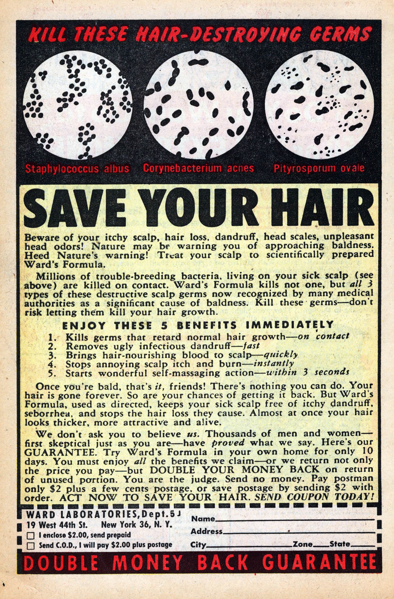 Read online Battleground comic -  Issue #6 - 34