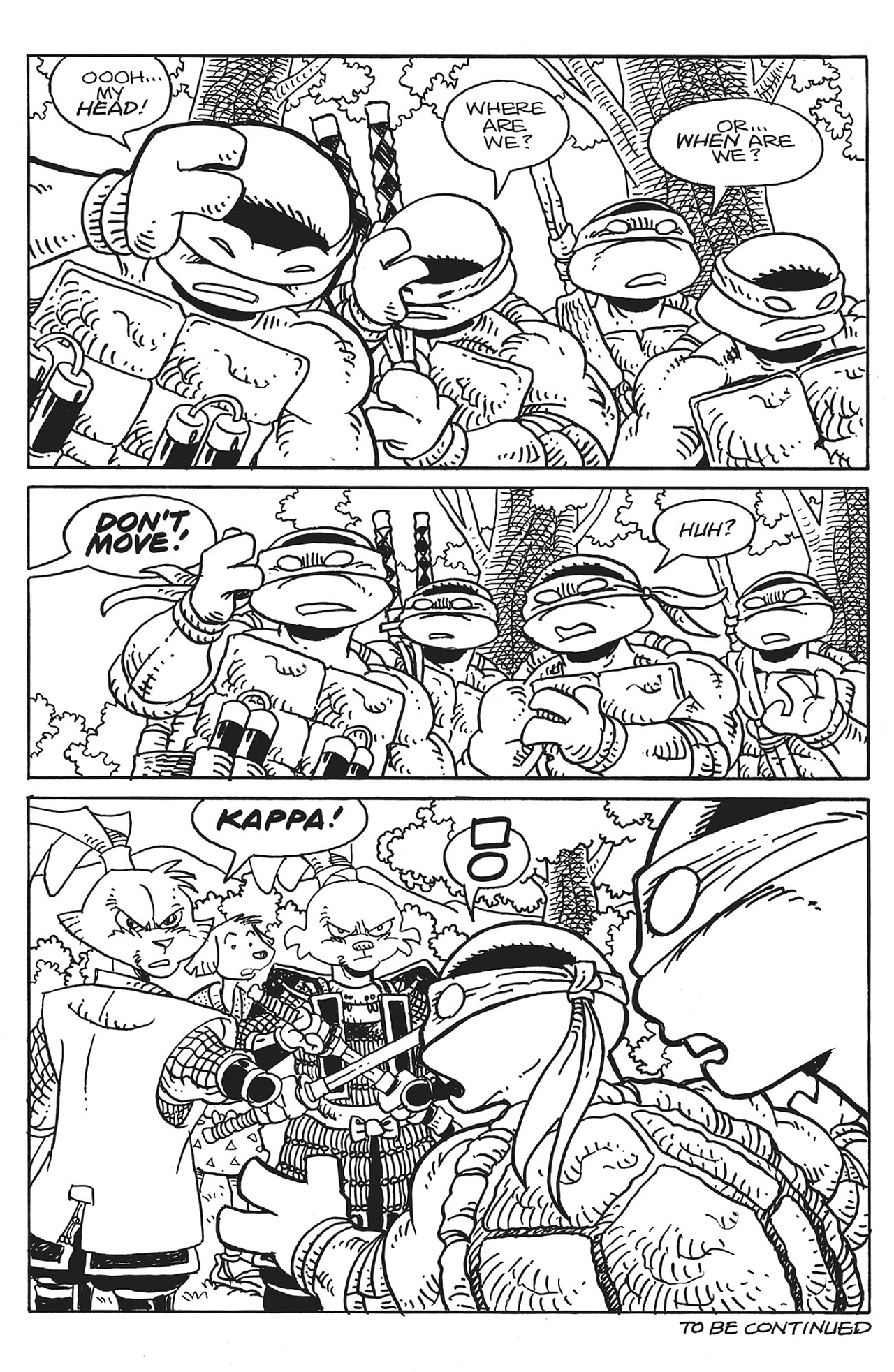 Read online Teenage Mutant Ninja Turtles/Usagi Yojimbo: WhereWhen #1: Director’s Cut comic -  Issue #1: Director’s Cut Full - 25