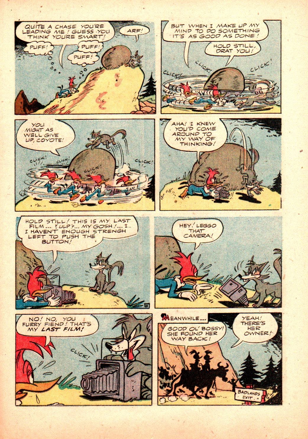 Read online Walter Lantz Woody Woodpecker (1952) comic -  Issue #24 - 21